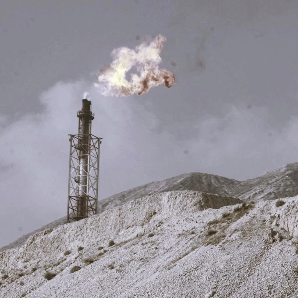 Overheidsopdrach­ten: de prijsgeest is weer uit de olielamp