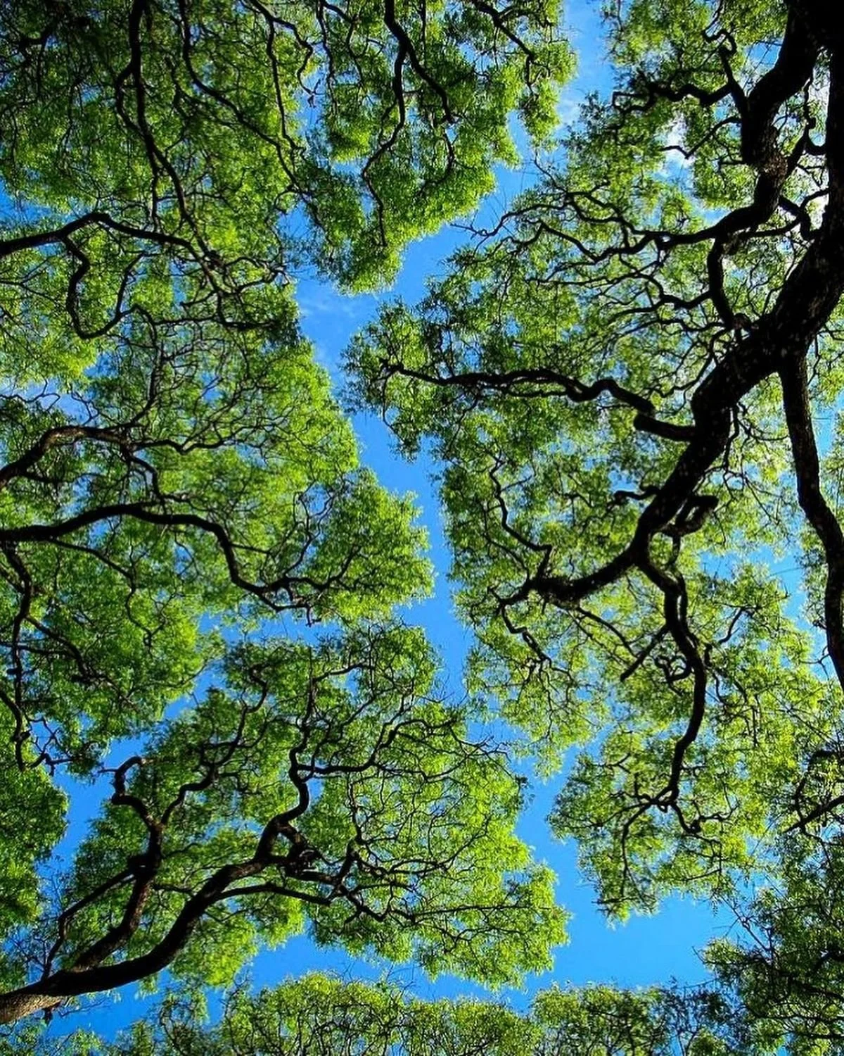 Is Your Home Working For You — Or Against You? A 10-Minute Sensory Snapshot