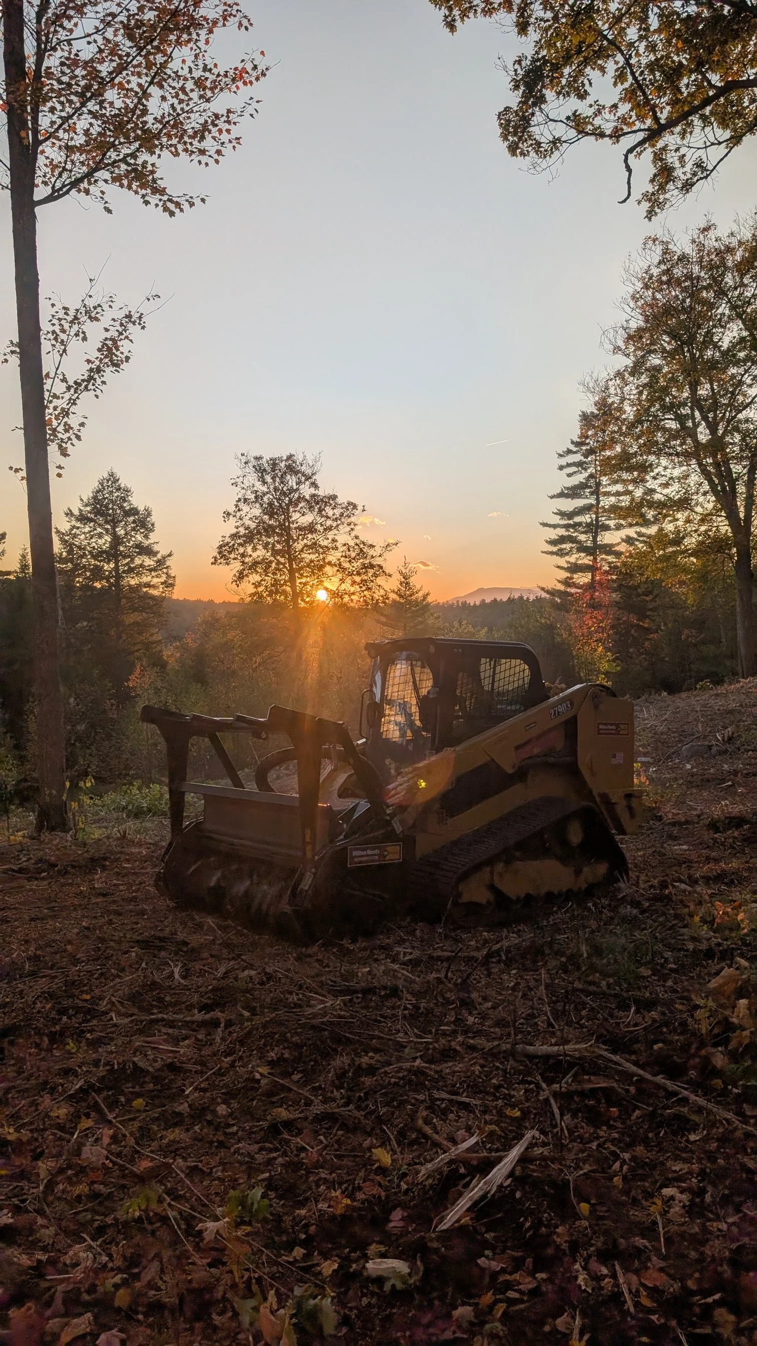 Land clearing prepares your property for what matters most, whether that's building your dream home, opening pasture for livestock, or simply revealing the views you bought the land for in the first place.