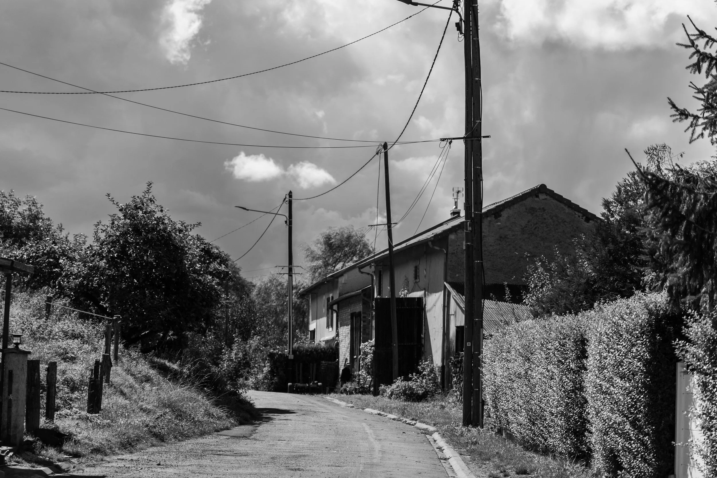 A black and white photo of a narrow alley in a residential neighborhood, with sidewalks, trees, bushes, and a house with utility poles and wires overhead under a partly cloudy sky.