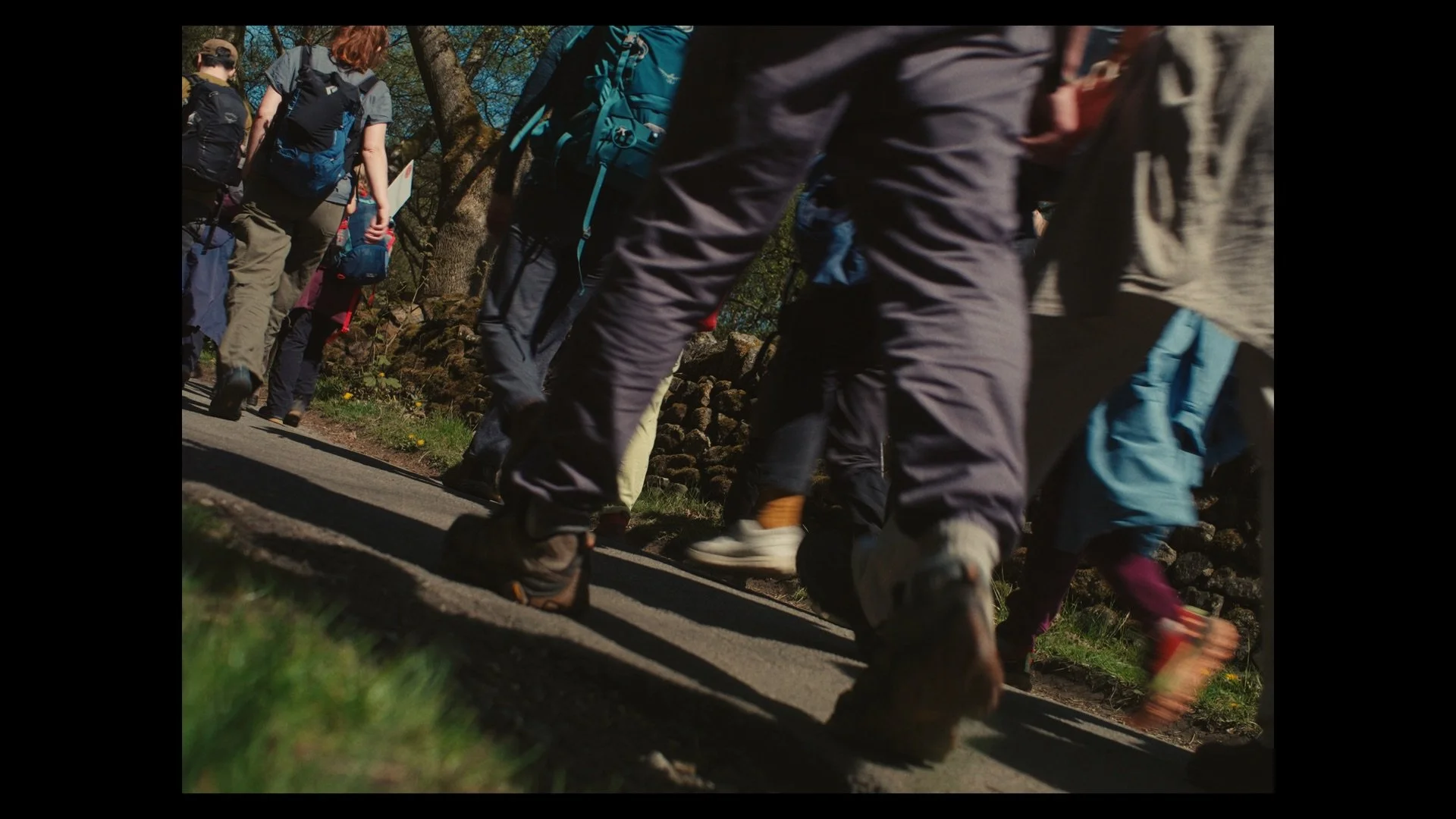 Group of hikers walking on a trail, viewed from a low angle.