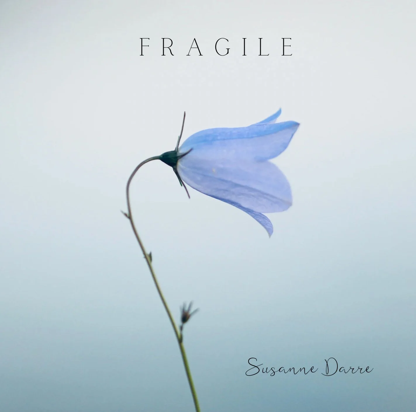 FRAGILE - 2024  (ALBUM)