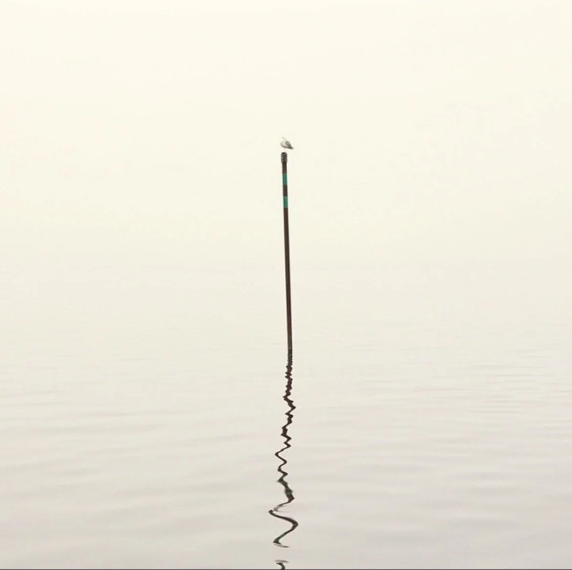 - COME CLOSER - 

(2023)
