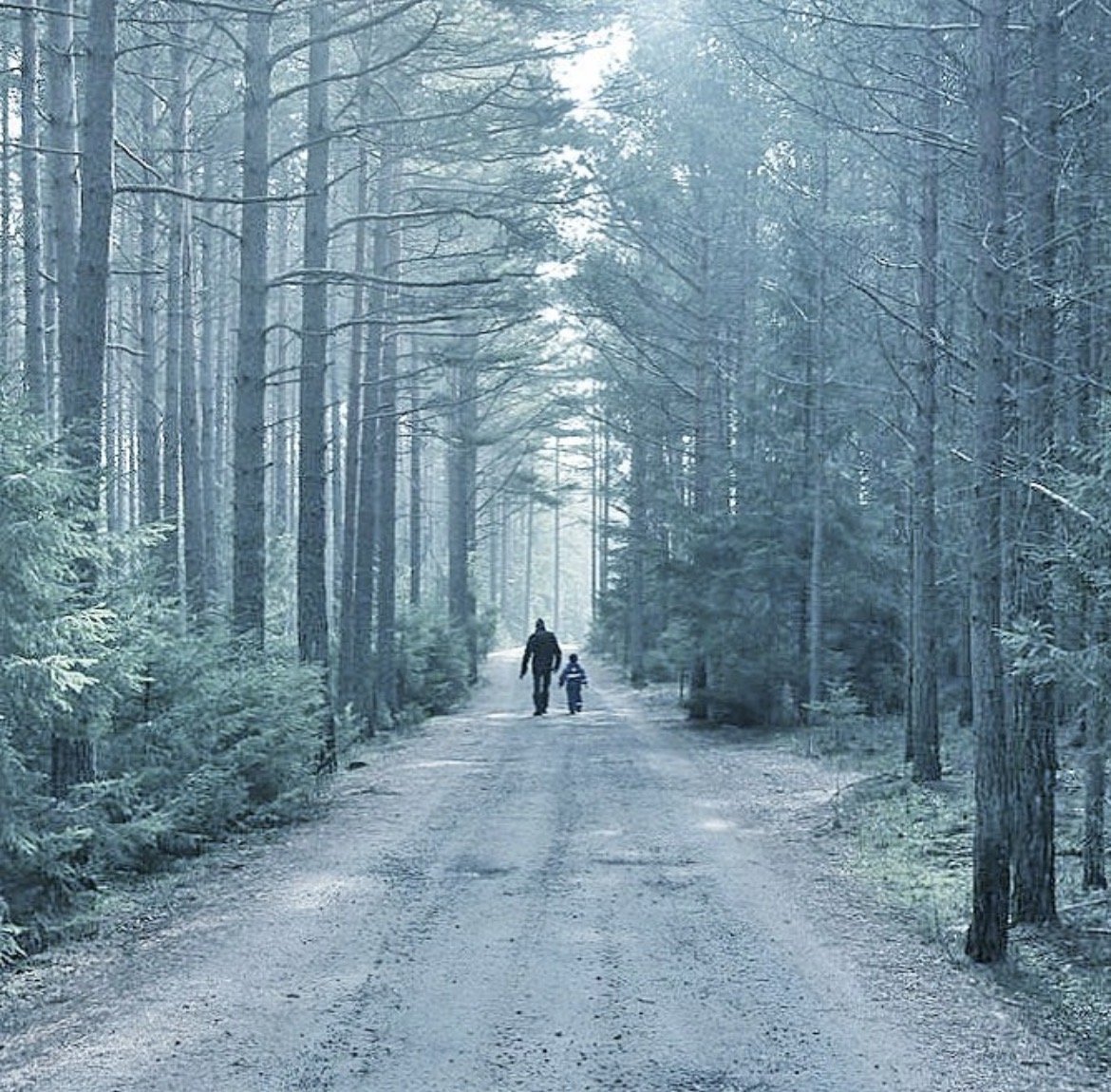 Singles - Latest: Dusk (2025)