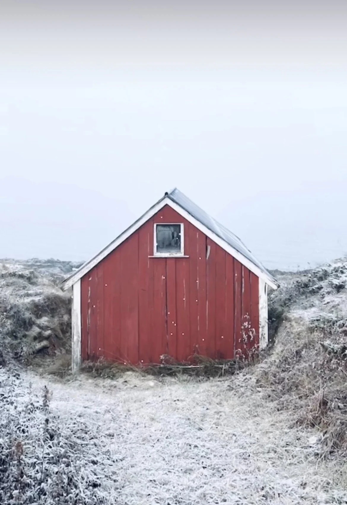 - THIS TIME -  

(2022)