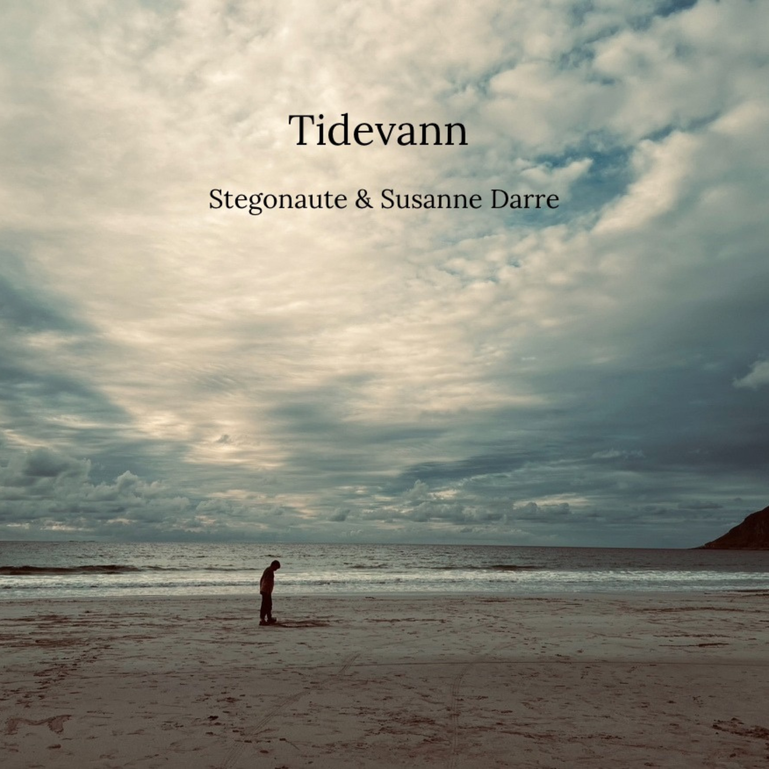 - TIDEVANN -

Stegonaute & Susanne Darre,
Label: Fluttery Records (2025)