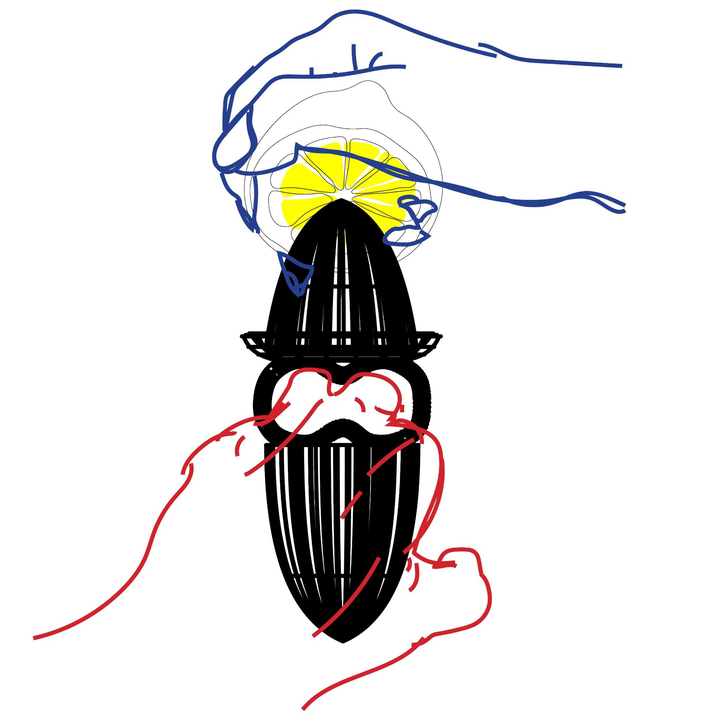 Two finger model of fist the lemon; example; index and middle finger used to slide through the two finger placements, making a fist, fisting a lemon.