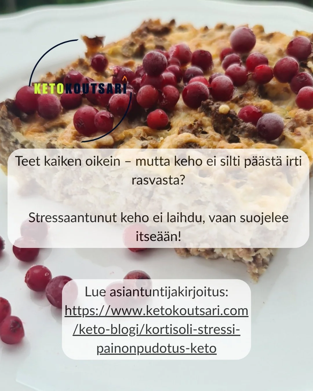 Kortisoli ja stressi - miksi keho ei tahtoisi p&auml;&auml;st&auml;&auml; irti rasvasta?

Paino jumissa ketolla? Lue, miten hermosto, hormonit ja palautuminen vaikuttavat painonpudotukseen.

Linkki blogiin kuvassa tai bion kautta.

#kortisolistressip