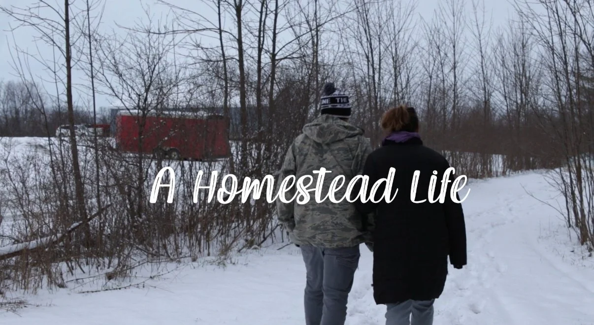 A Homestead Life