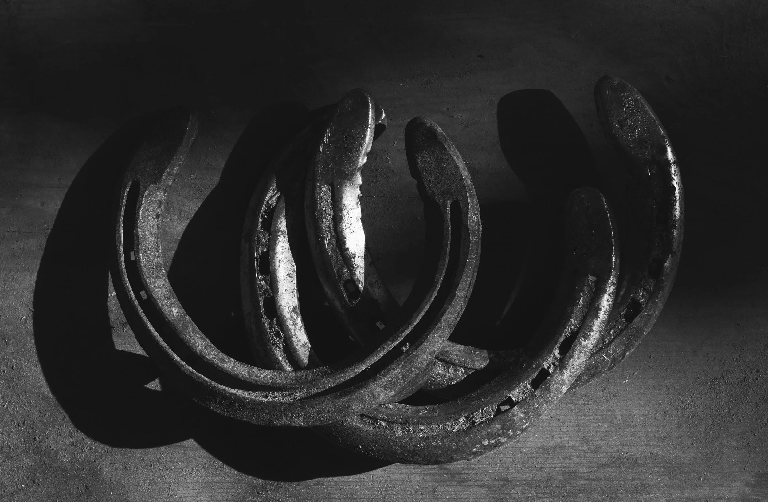 Lucky Horseshoes