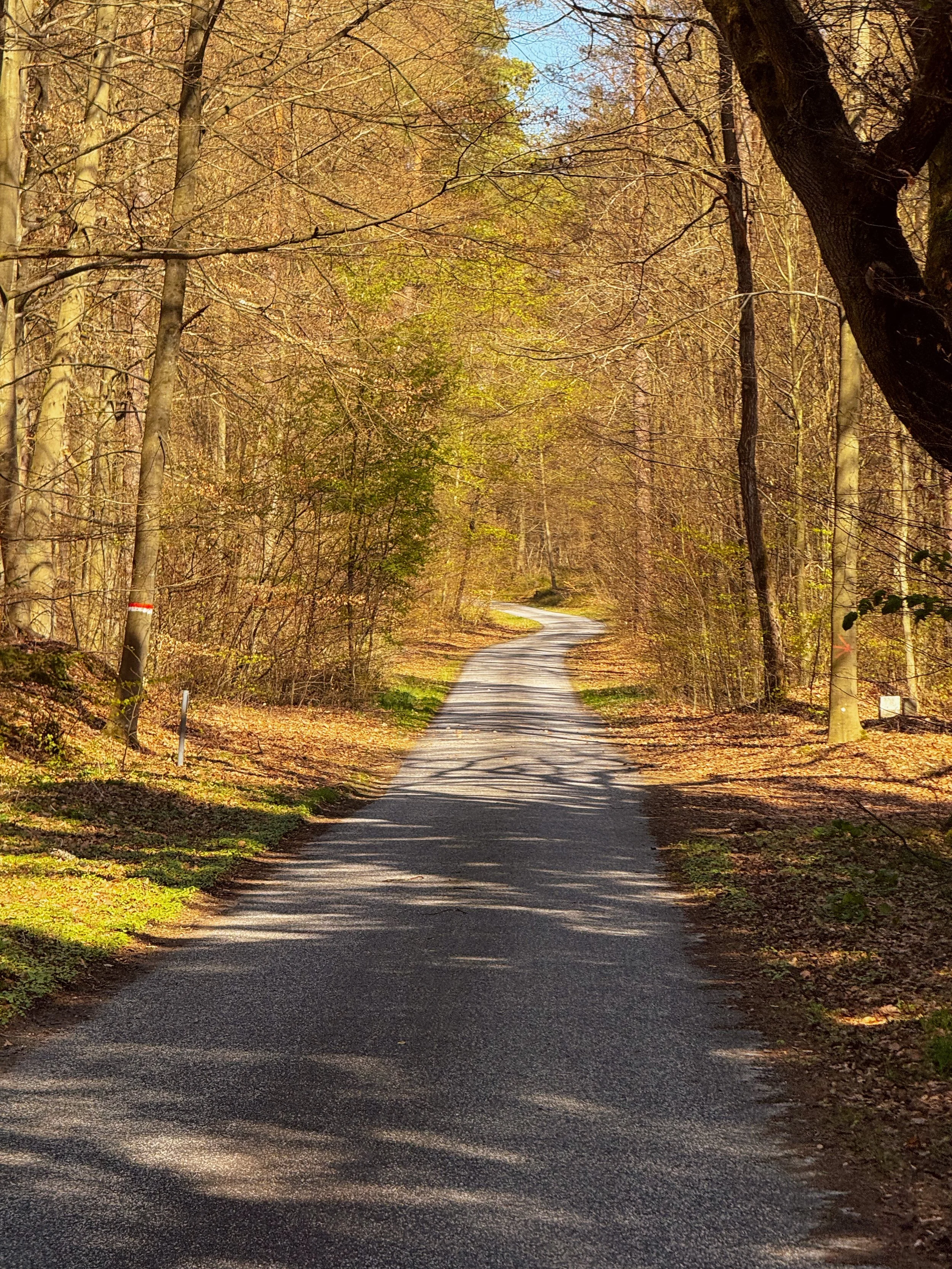Roads of the Nordic Chase - BER-CPH | Road Edition