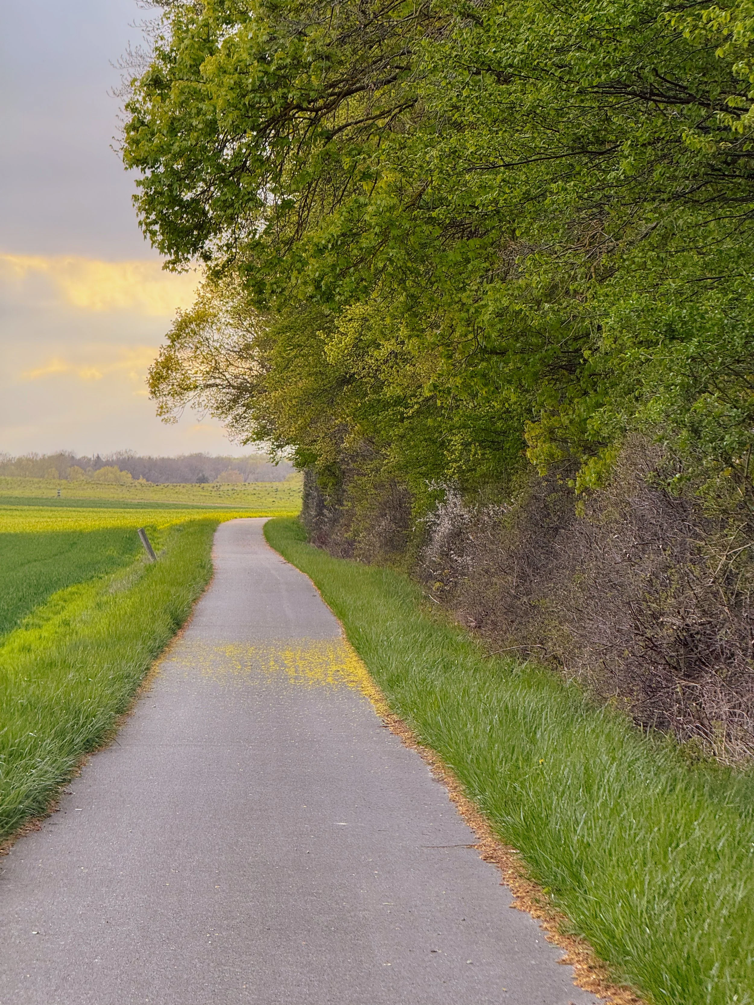 Roads of the Nordic Chase - BER-CPH | Road Edition