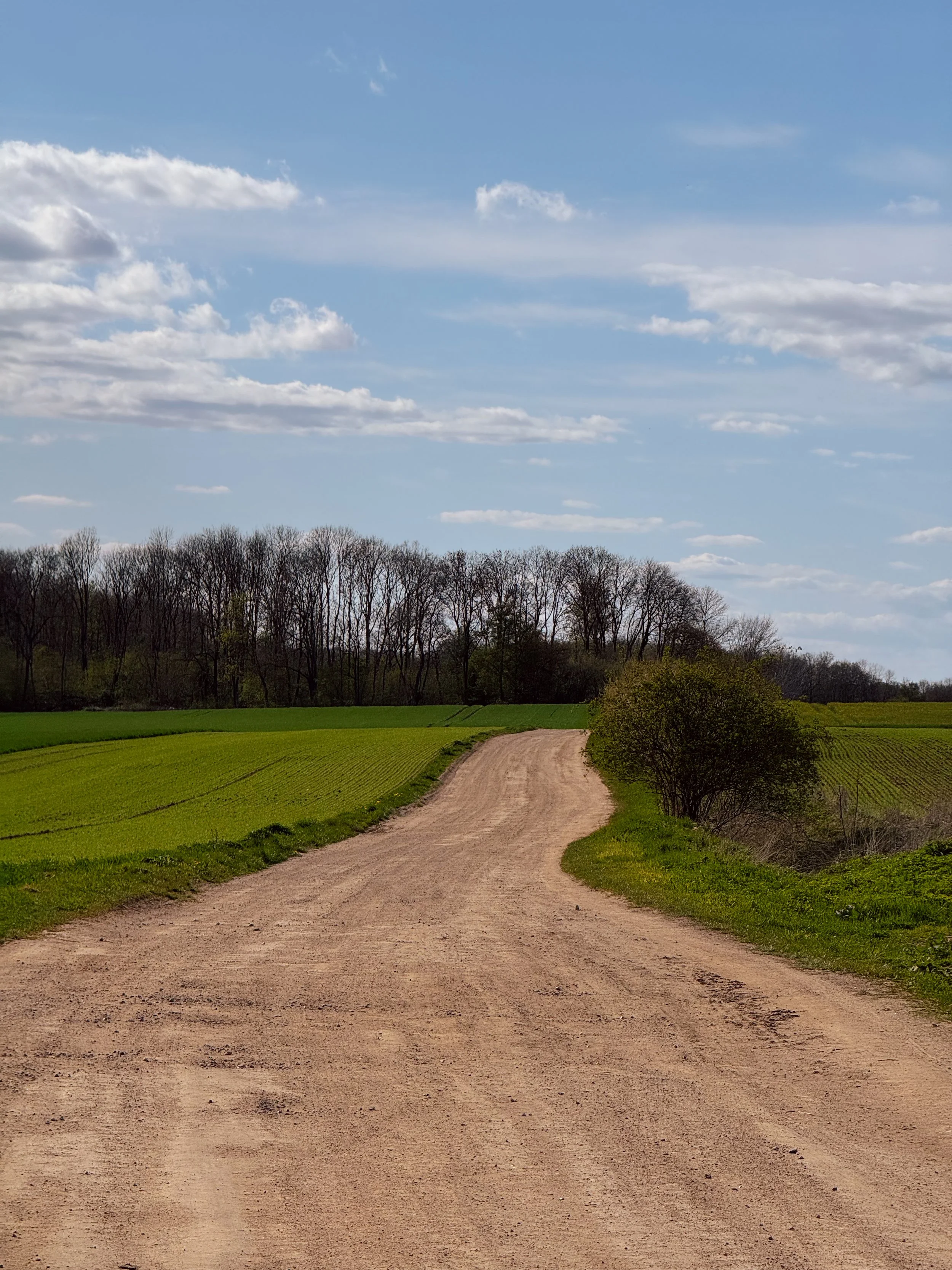 A little gravel section along the BER-CPH (Road Edition) route