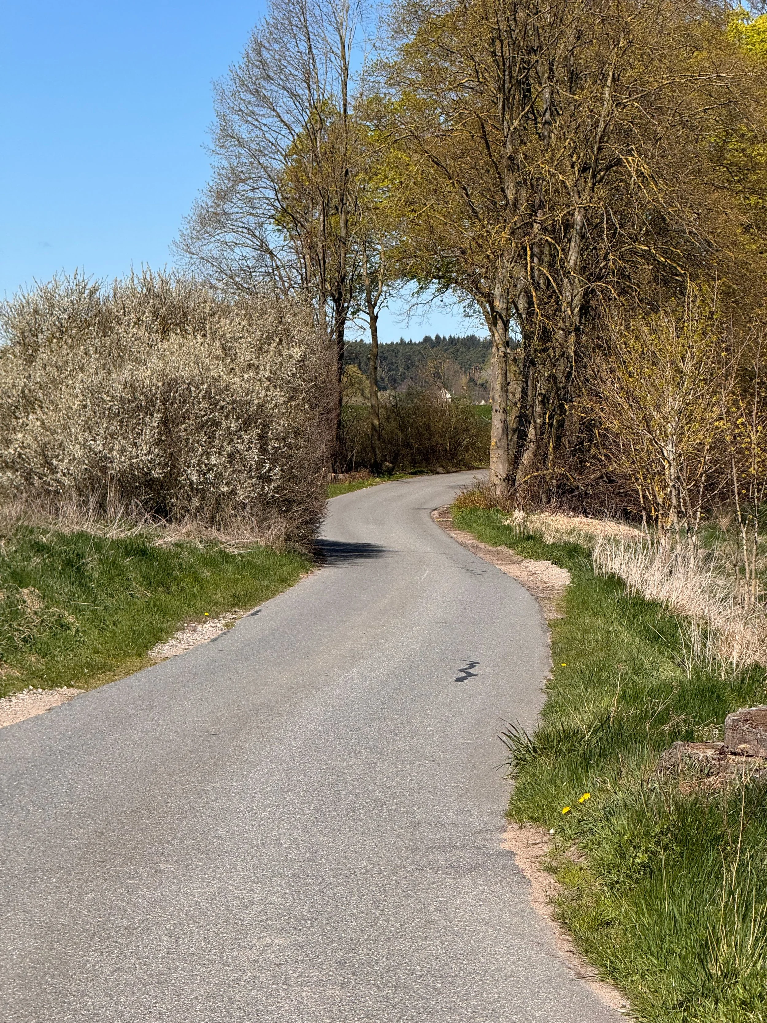 Roads of the Nordic Chase - BER-CPH | Road Edition