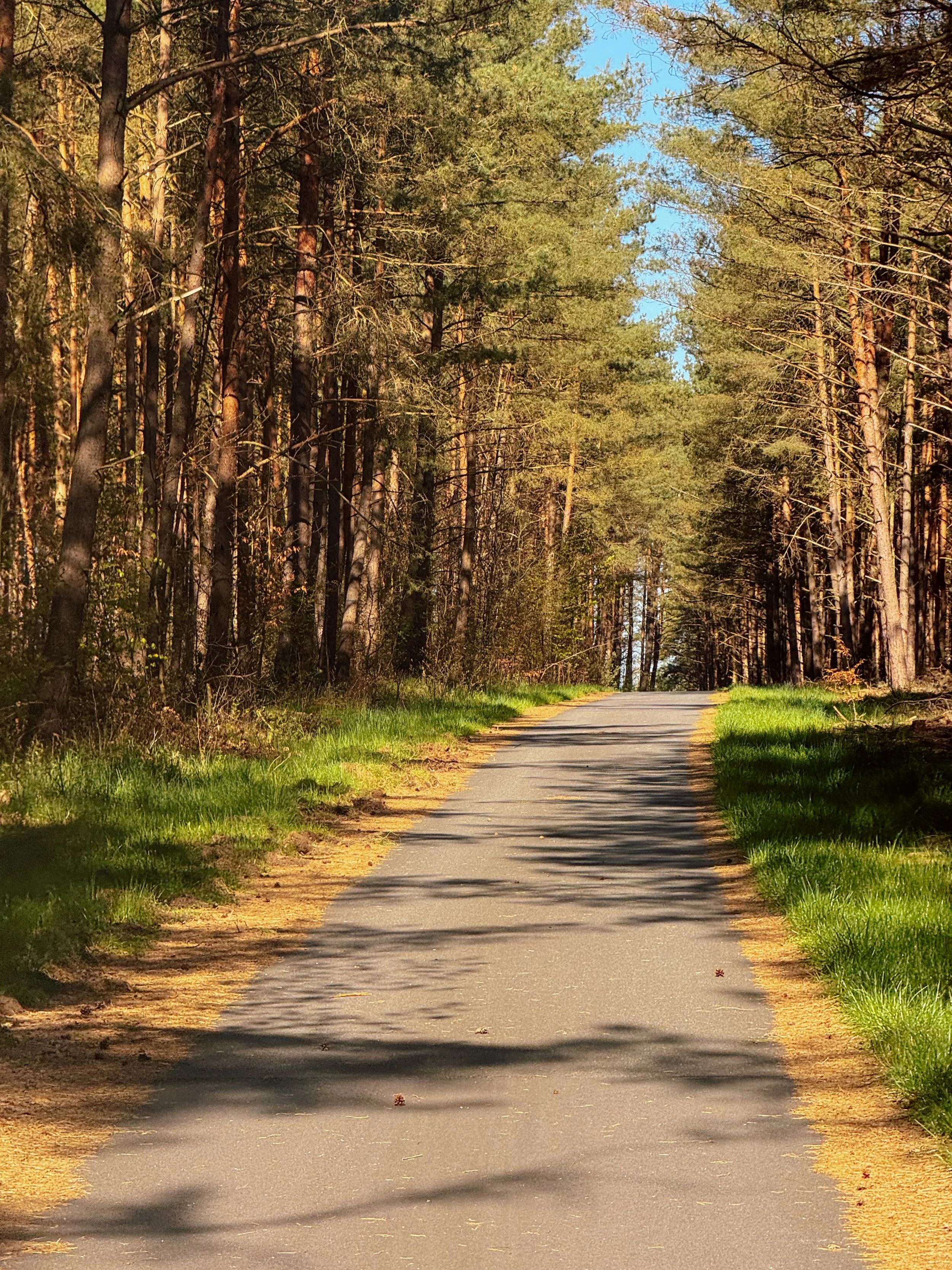 Roads of the Nordic Chase - BER-CPH | Road Edition