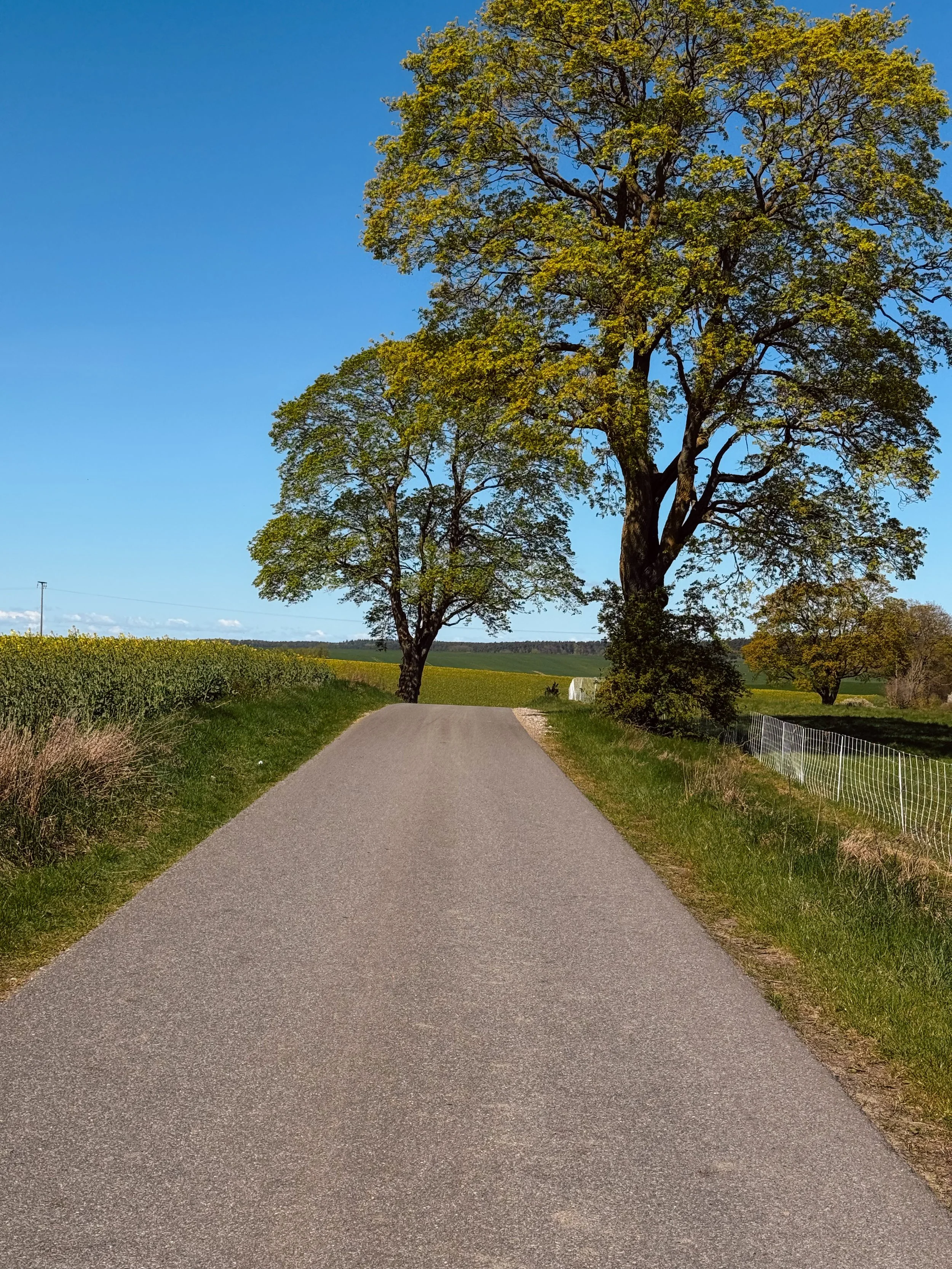 Roads of the Nordic Chase - BER-CPH | Road Edition