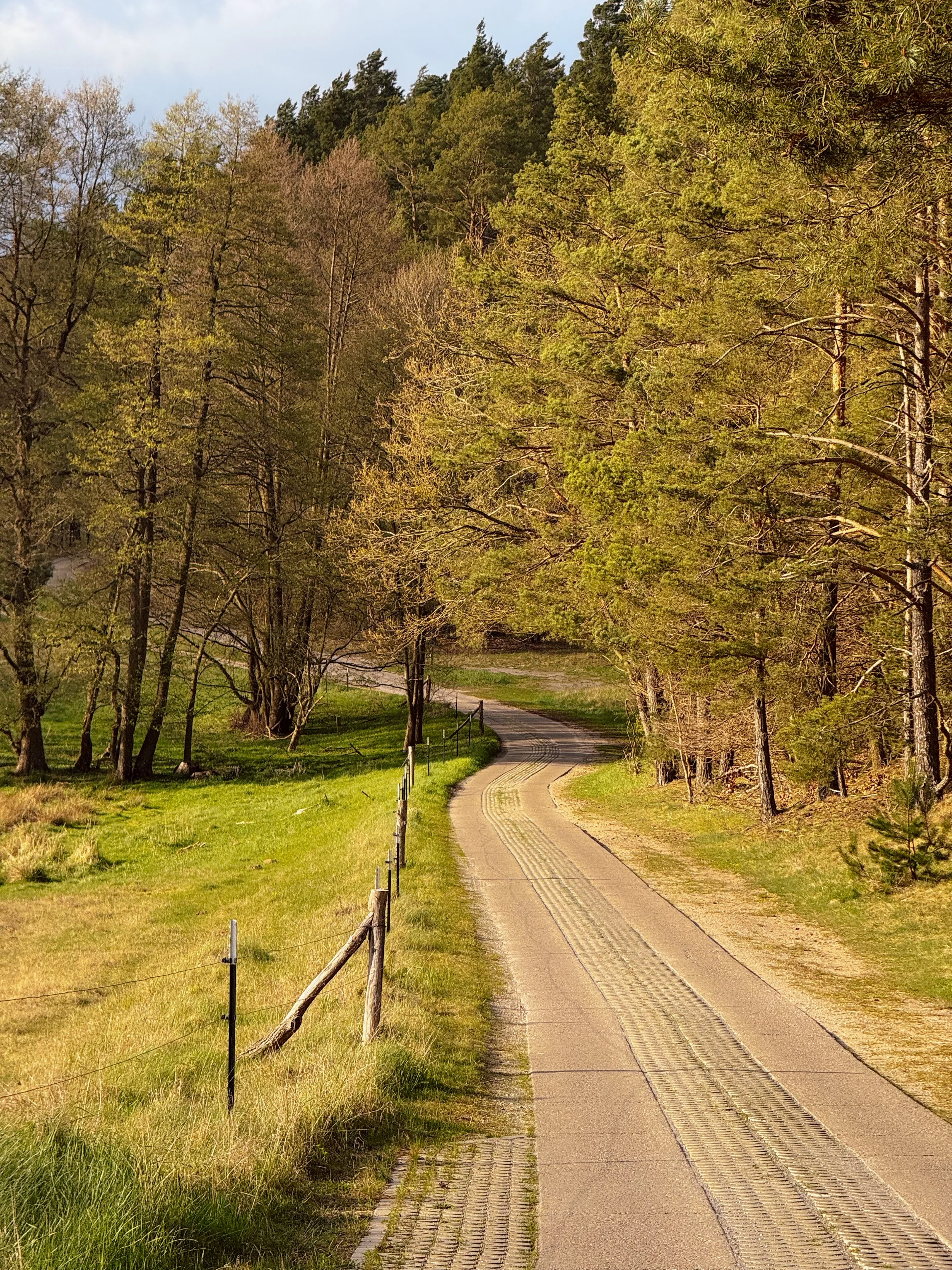 Roads of the Nordic Chase - BER-CPH | Road Edition