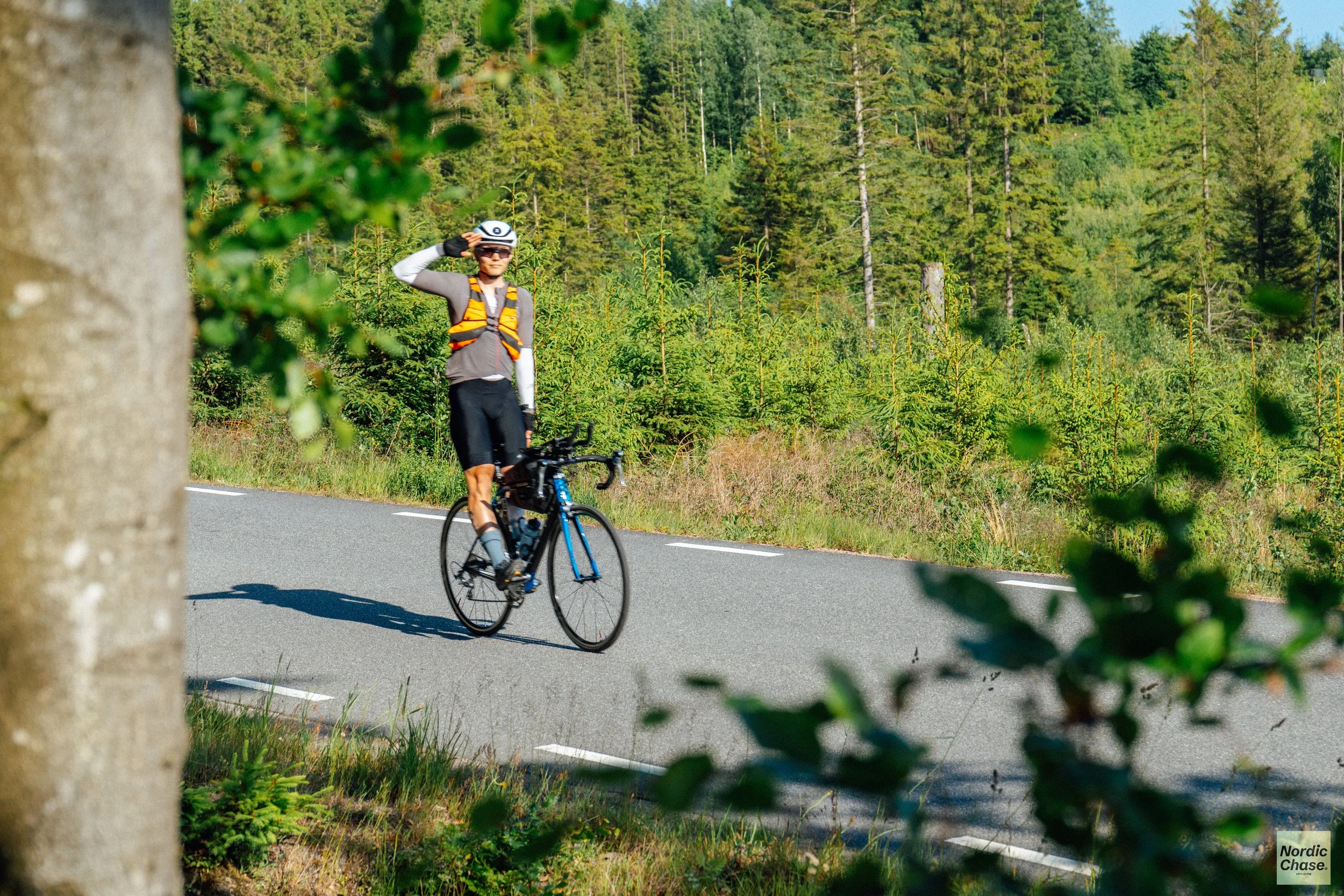 swedish nature nordic chase 2025