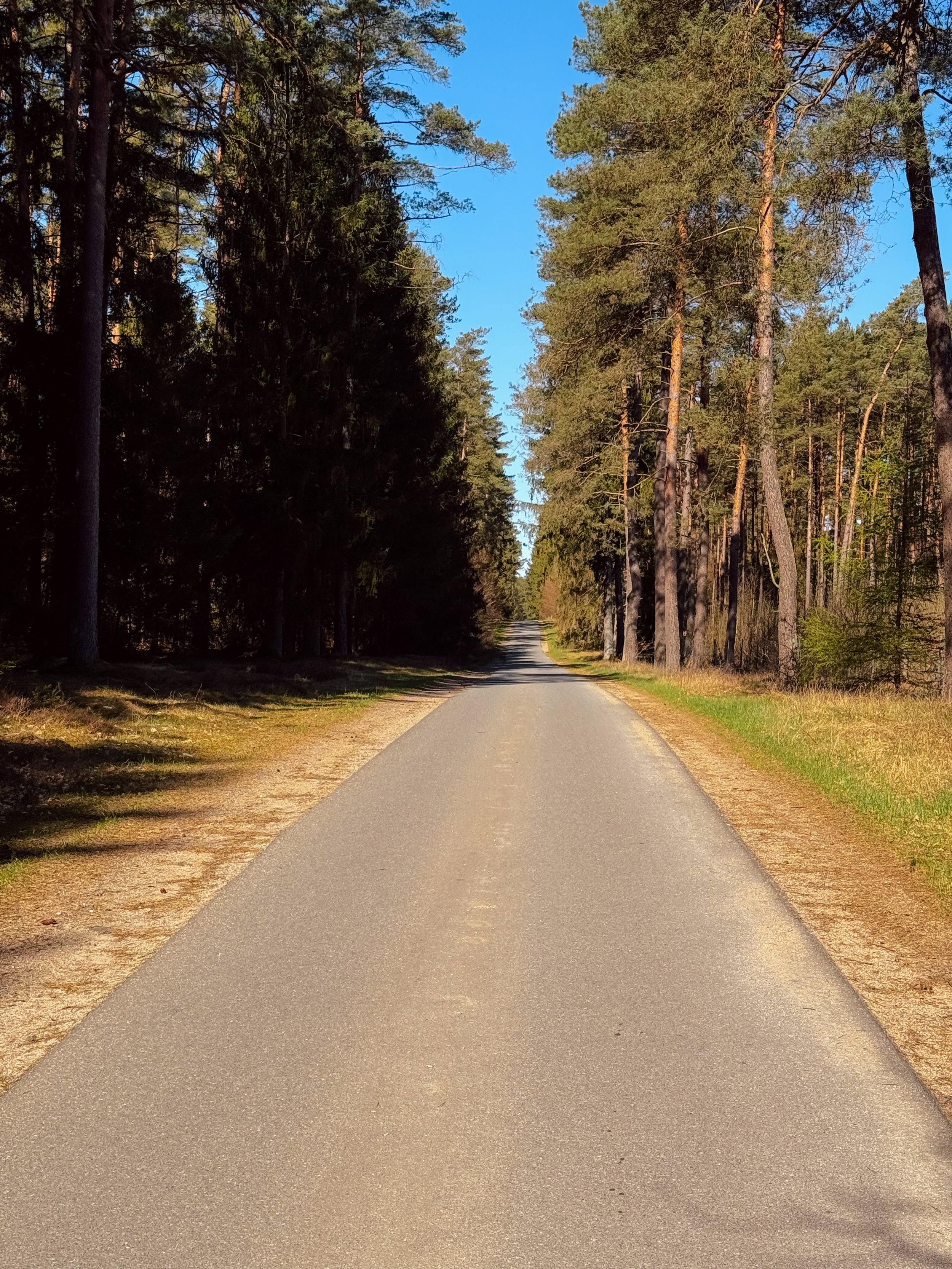 Roads of the Nordic Chase - BER-CPH | Road Edition