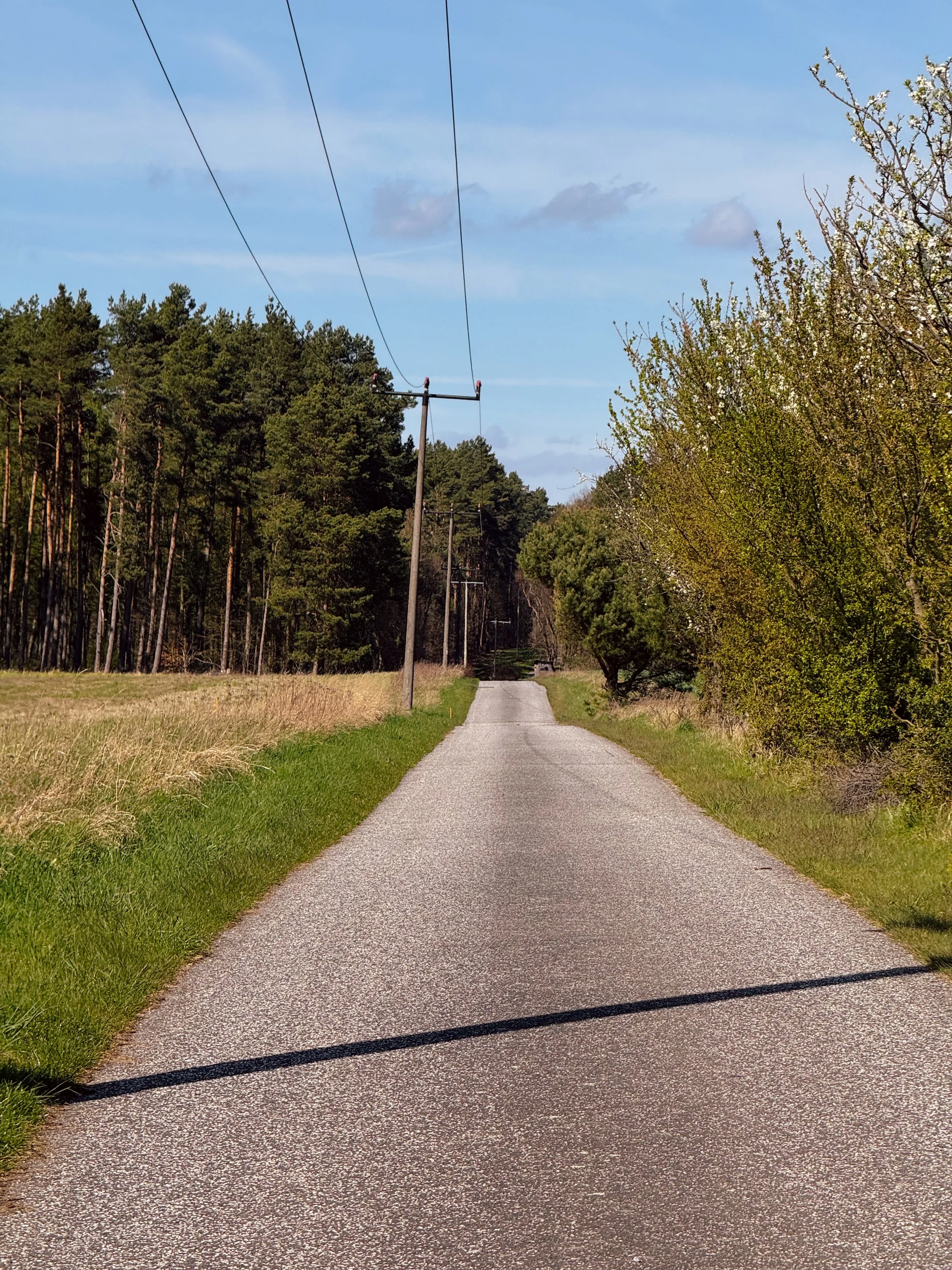 Roads of the Nordic Chase - BER-CPH | Road Edition