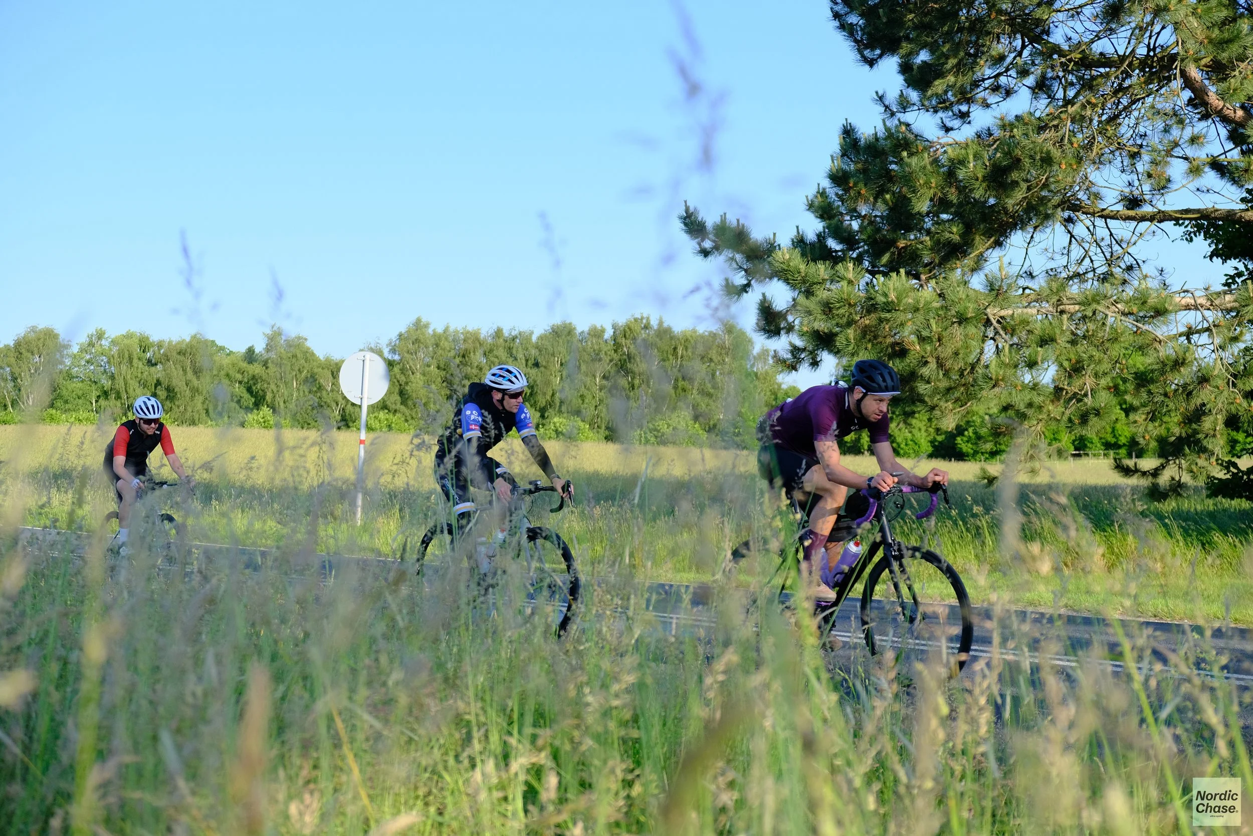 nordic chase 2025