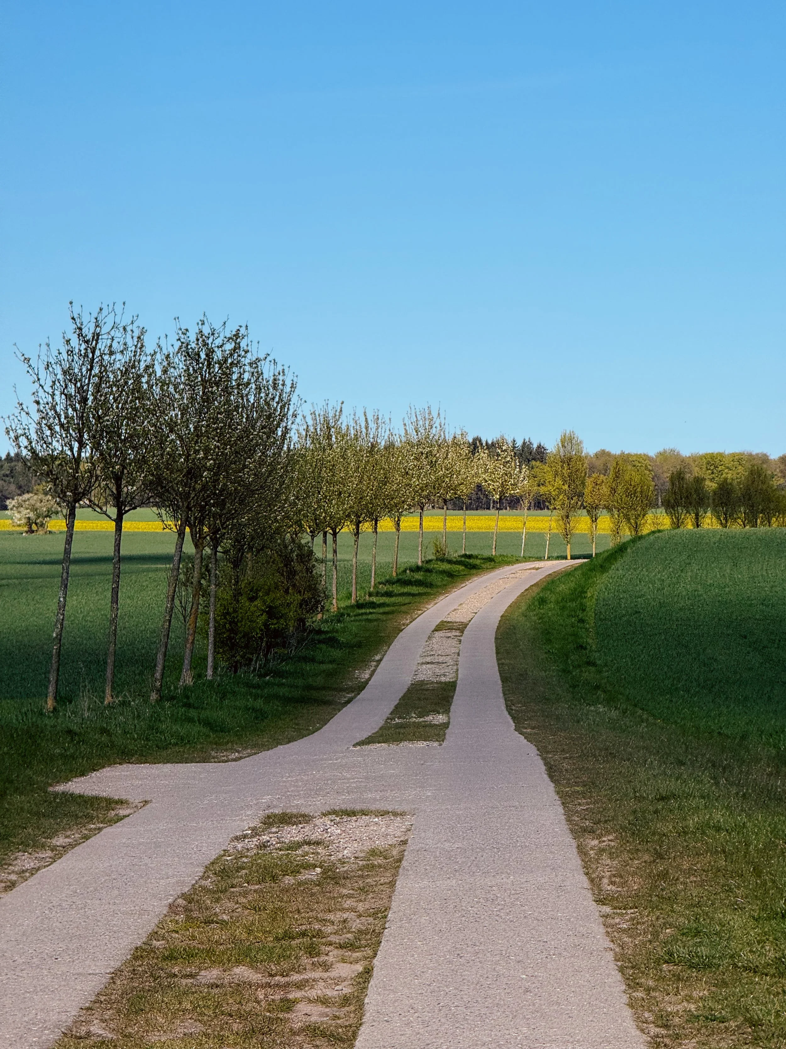 Roads of the Nordic Chase - BER-CPH | Road Edition