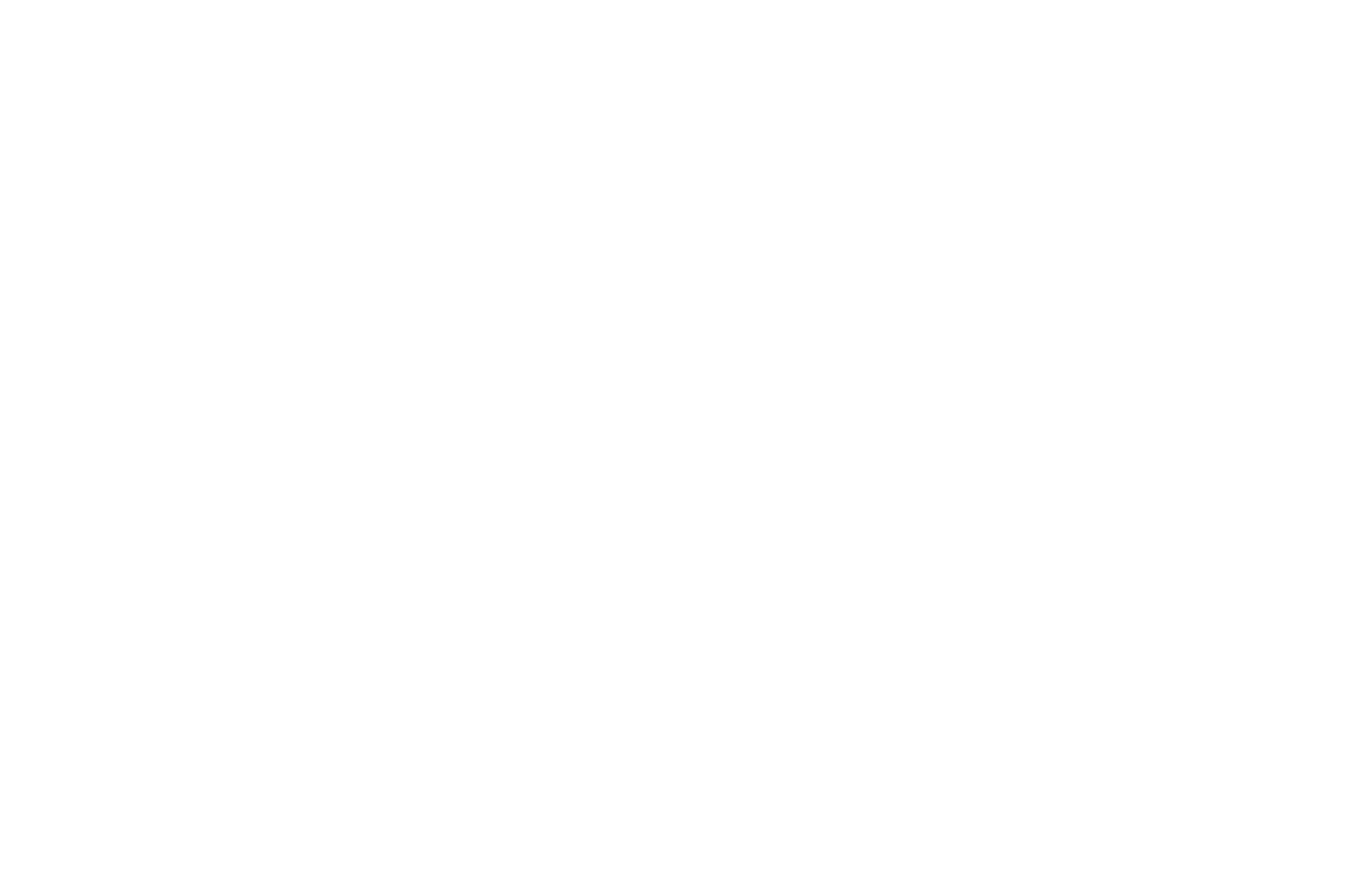 Apidura logo