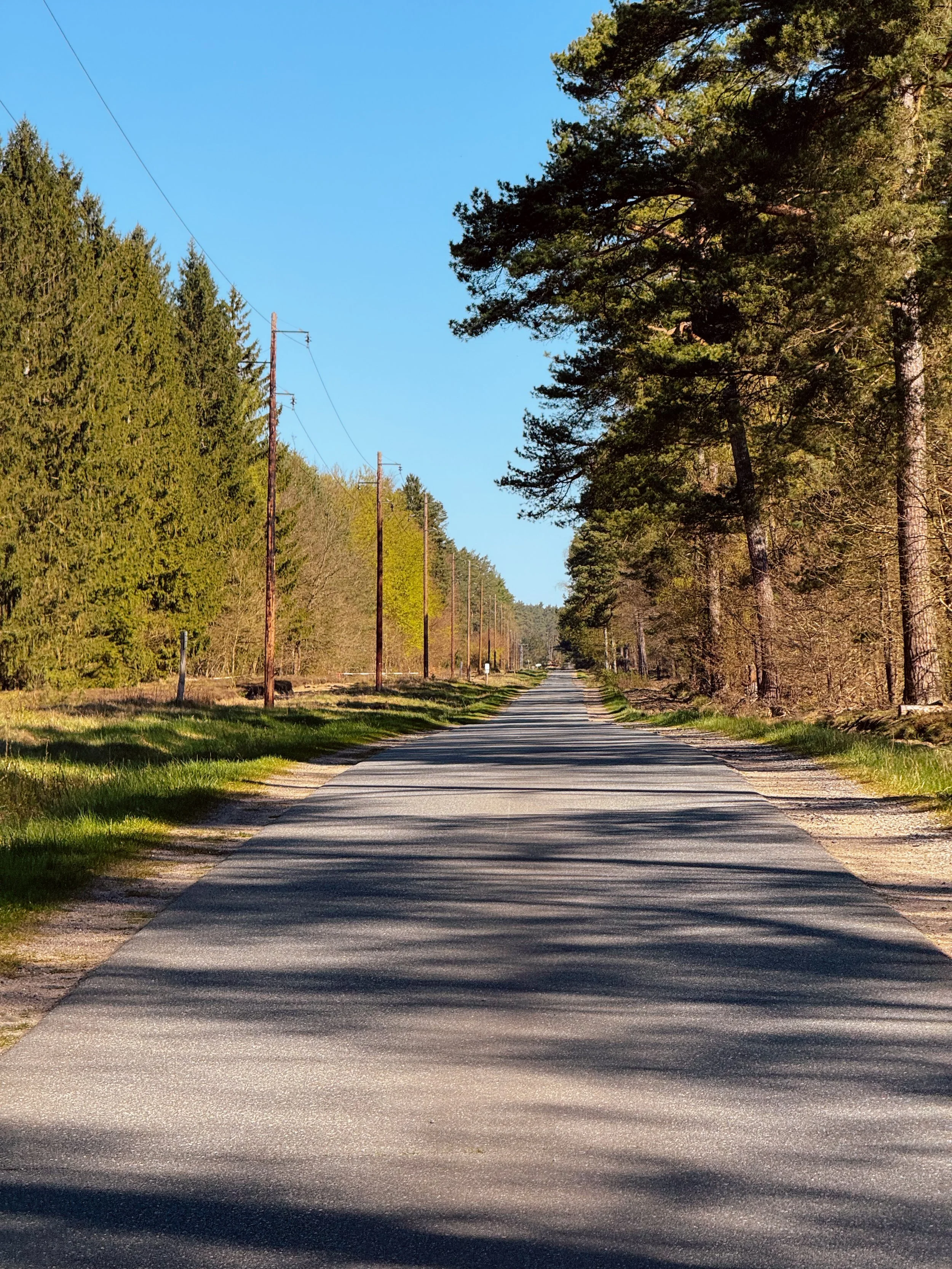 Roads of the Nordic Chase - BER-CPH | Road Edition