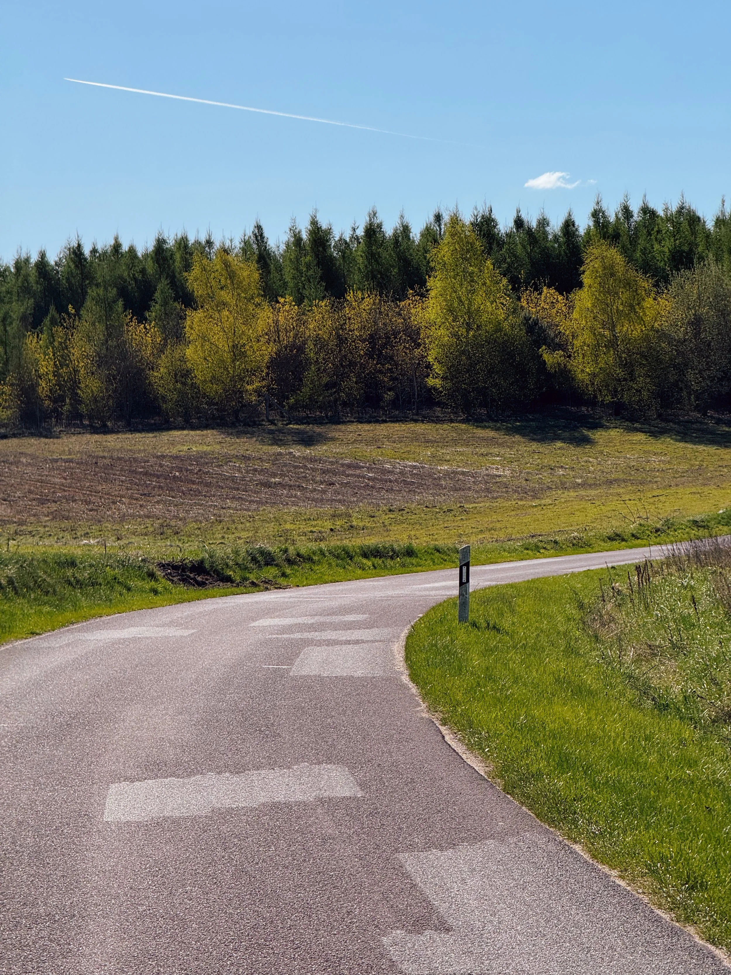 Roads of the Nordic Chase - BER-CPH | Road Edition