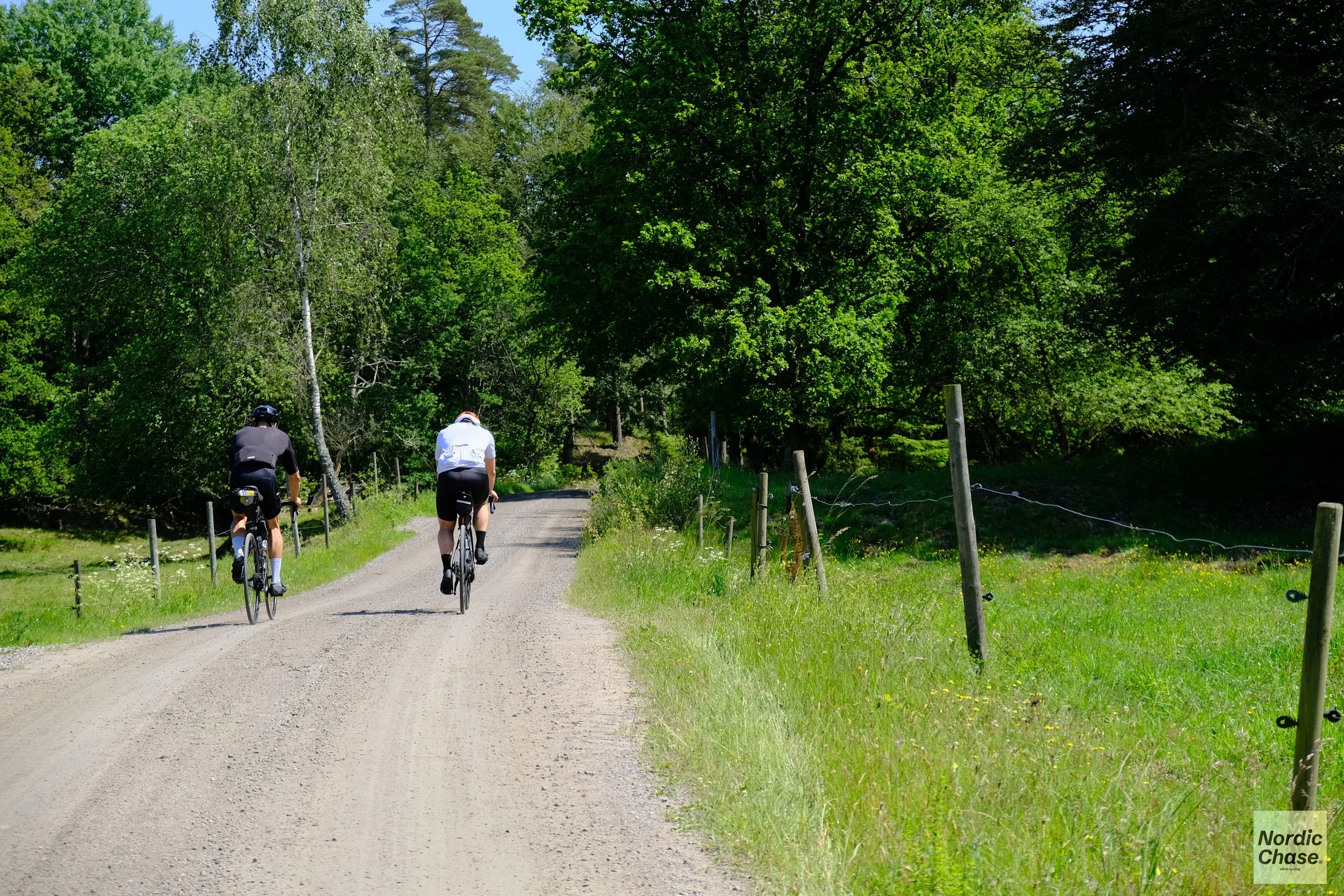 swedish gravel - nordic chase 2025