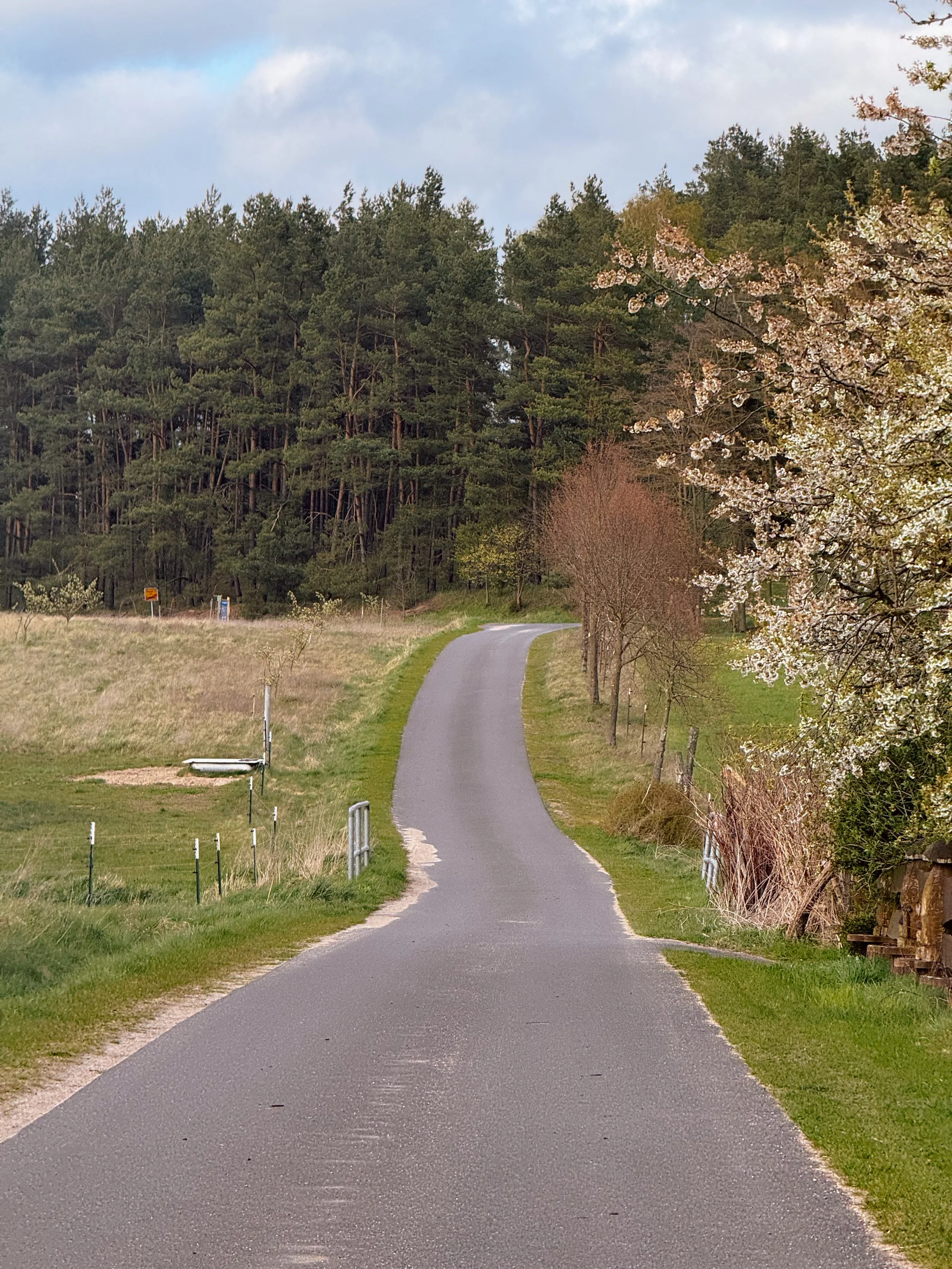 Roads of the Nordic Chase - BER-CPH | Road Edition
