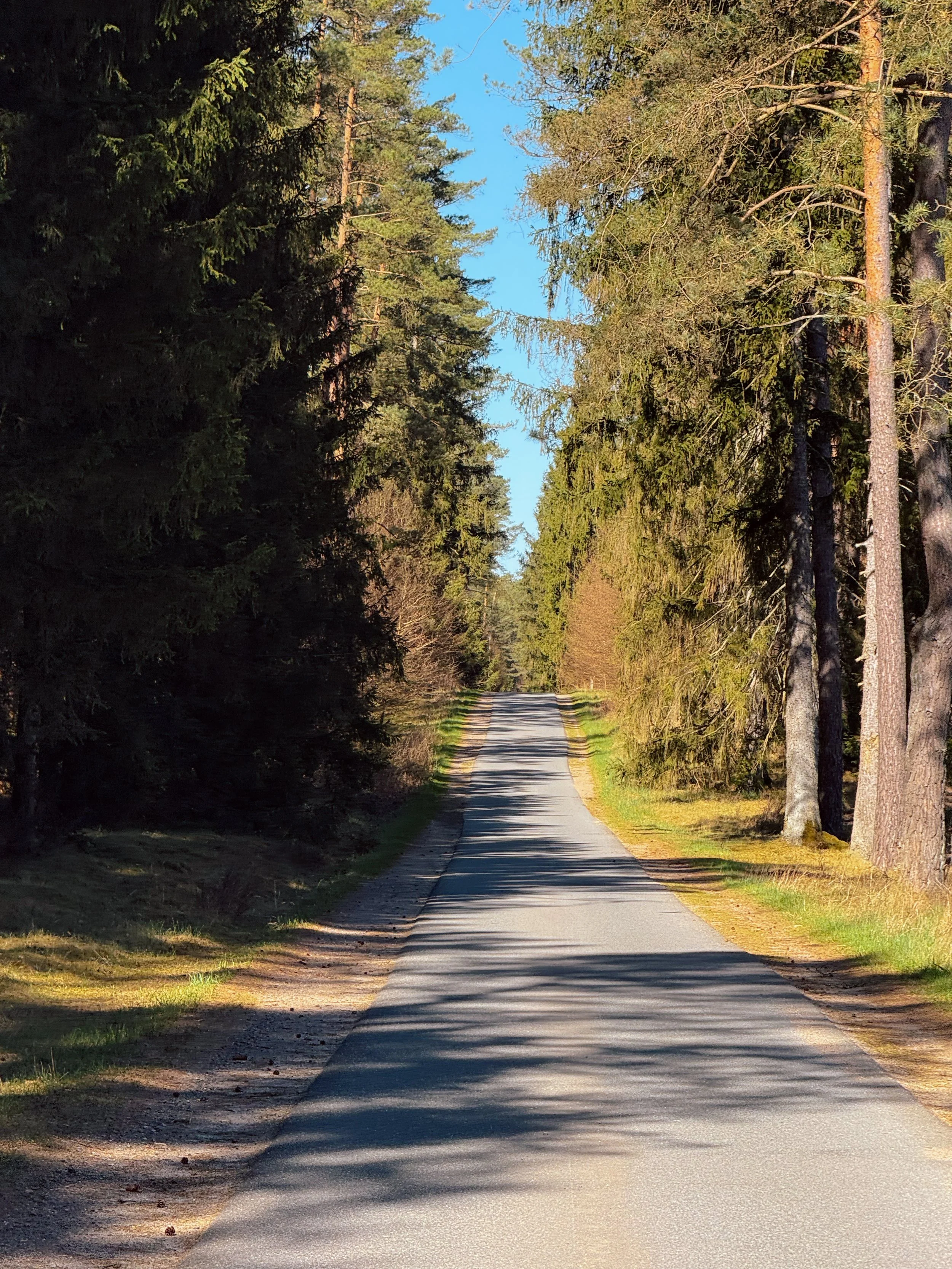 Roads of the Nordic Chase - BER-CPH | Road Edition