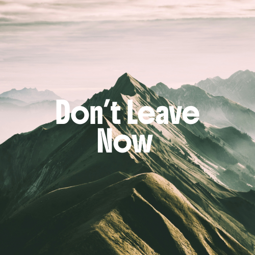 Don't Leave Now