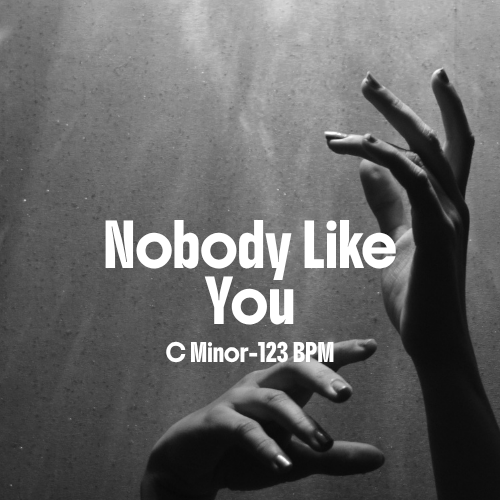 Nobody Like You