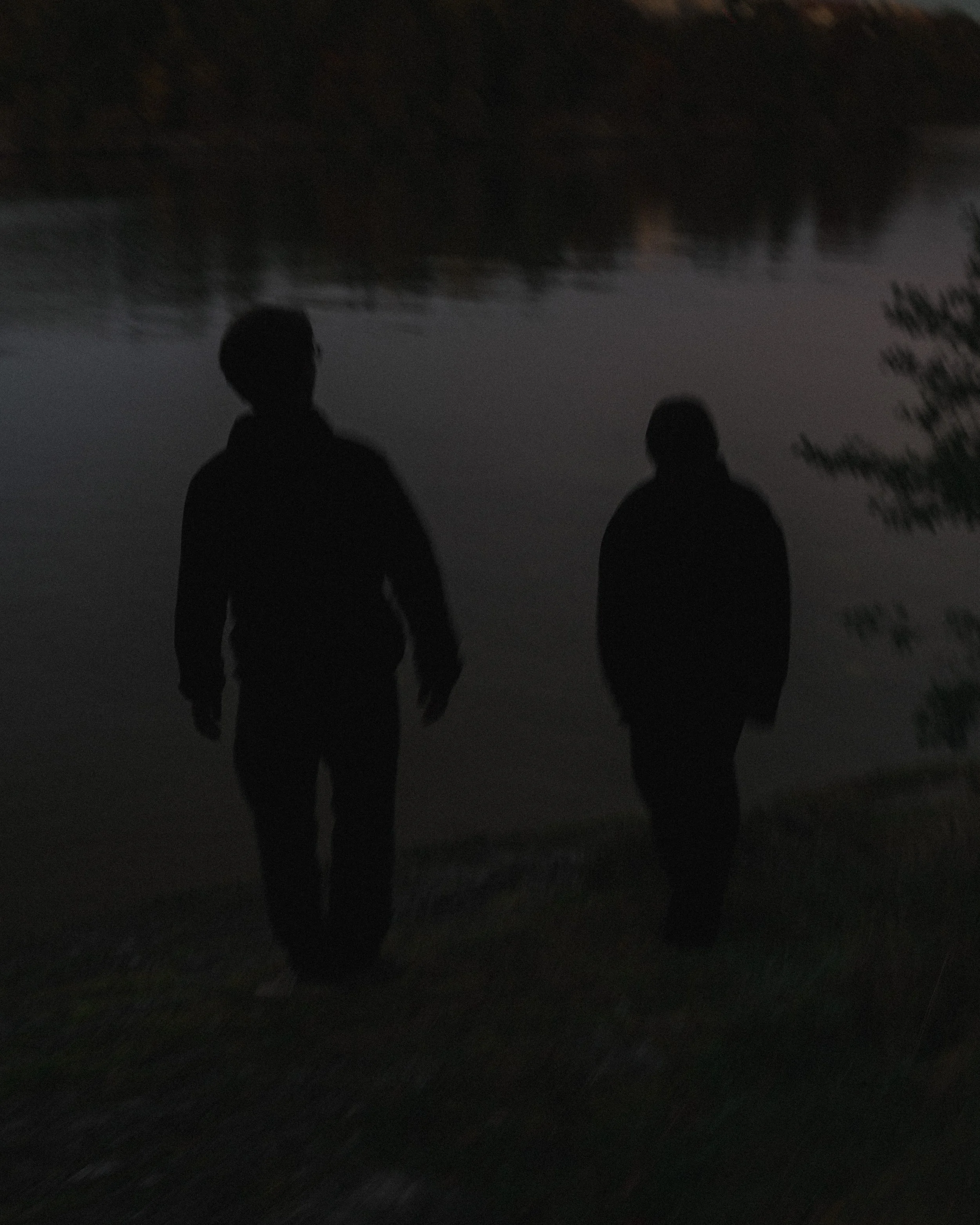 Silhouettes of two people walking near a body of water during dusk, with trees reflected on the water surface.