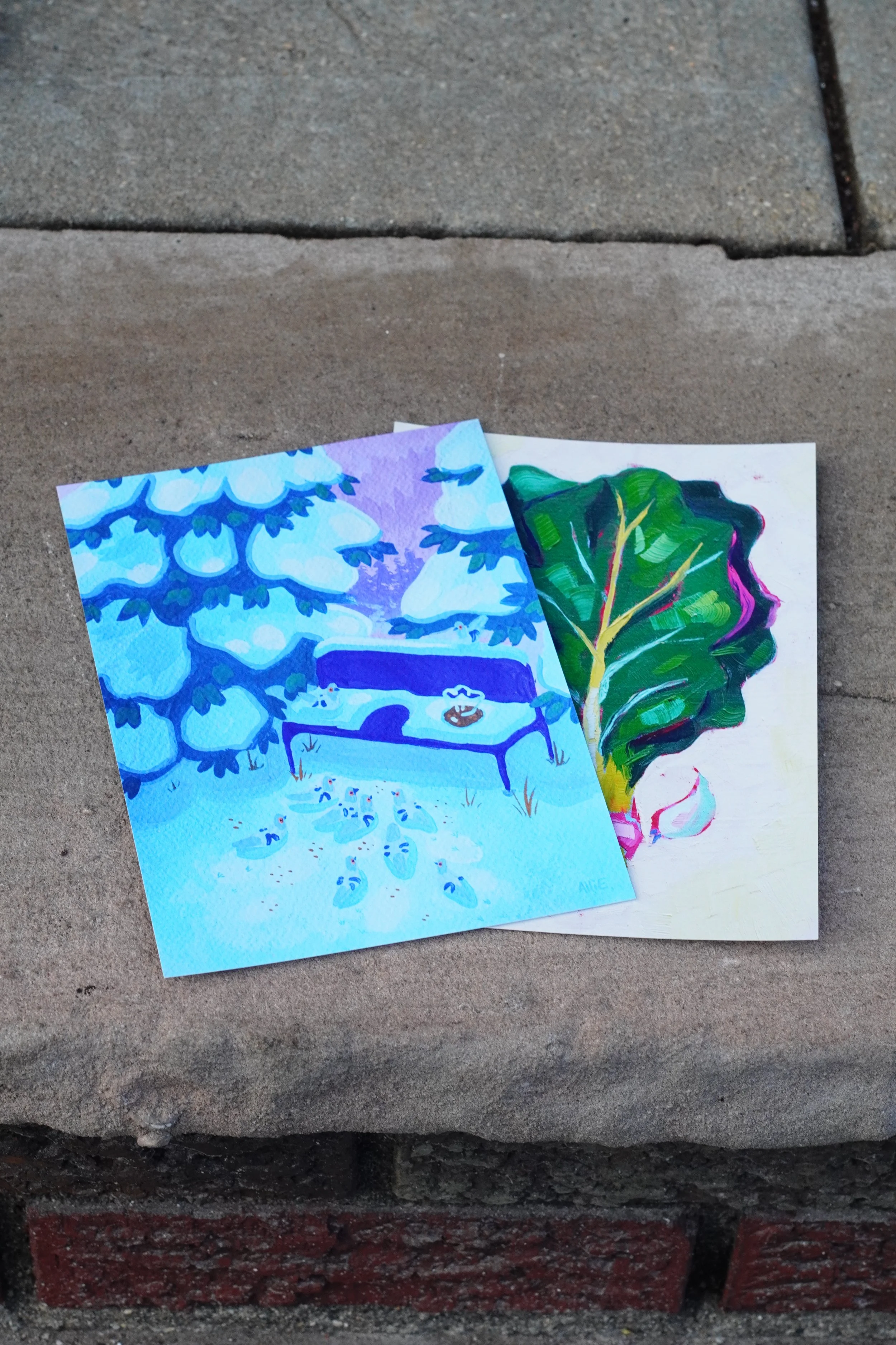 January 2026: Lucky Pigeons!