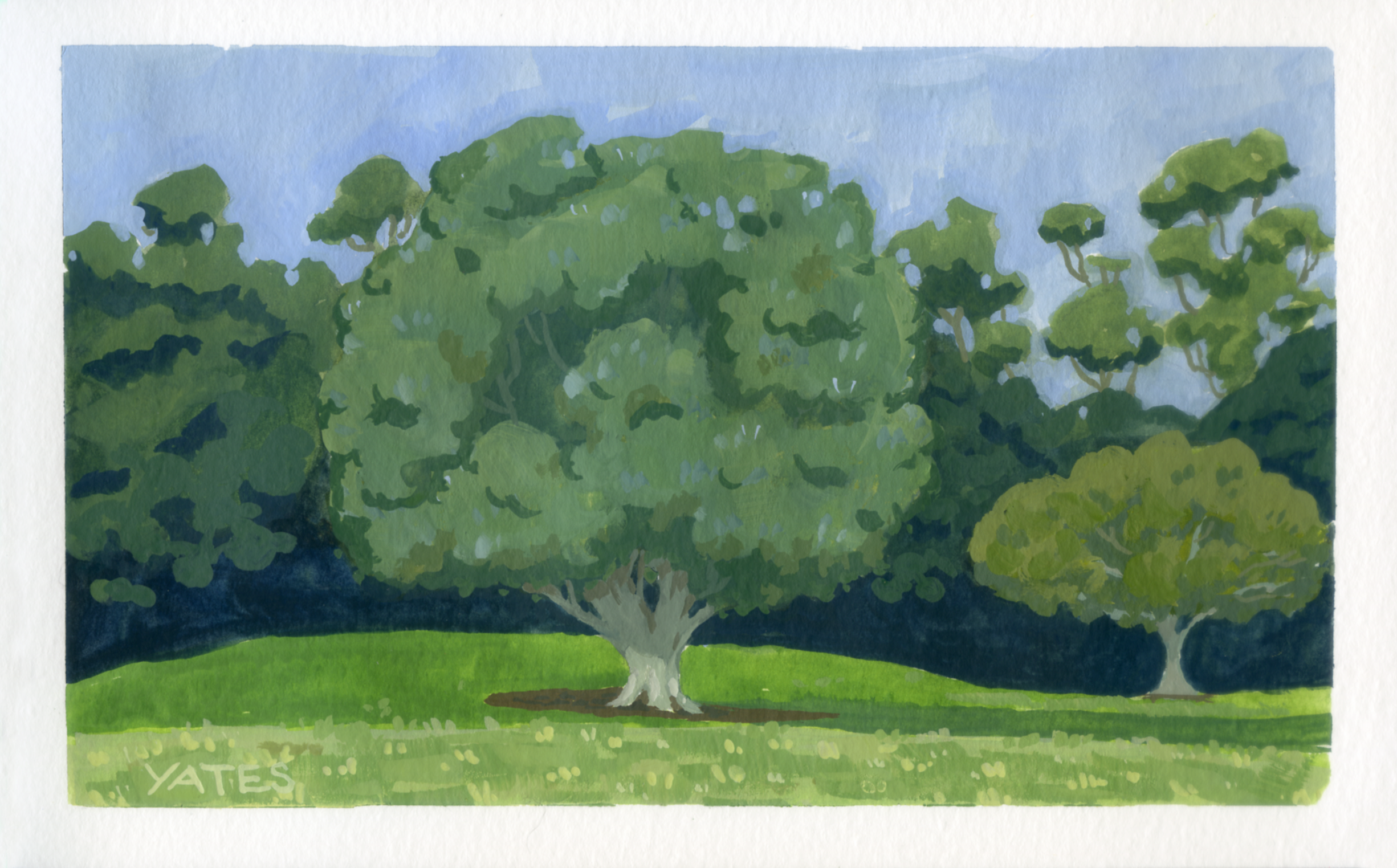 A watercolor painting of a green park with three trees of different sizes and shades of green against a blue sky.