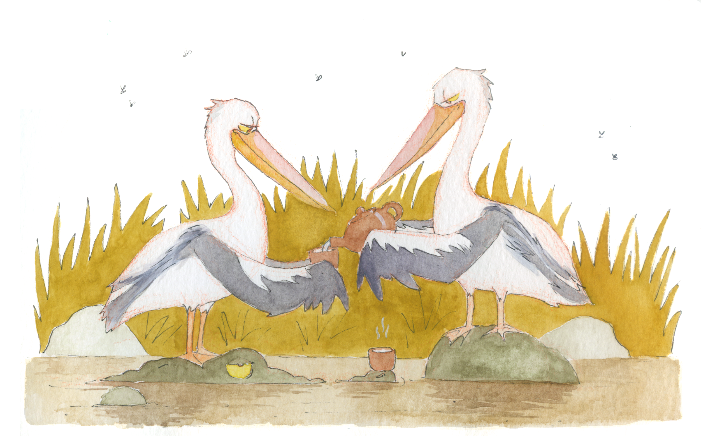 Two storks standing on rocks, beak to beak, holding a small brown jug between them, with steam rising from a small bowl and a small steaming pot in front of them, surrounded by tall grass and rocks, in a natural outdoor setting.
