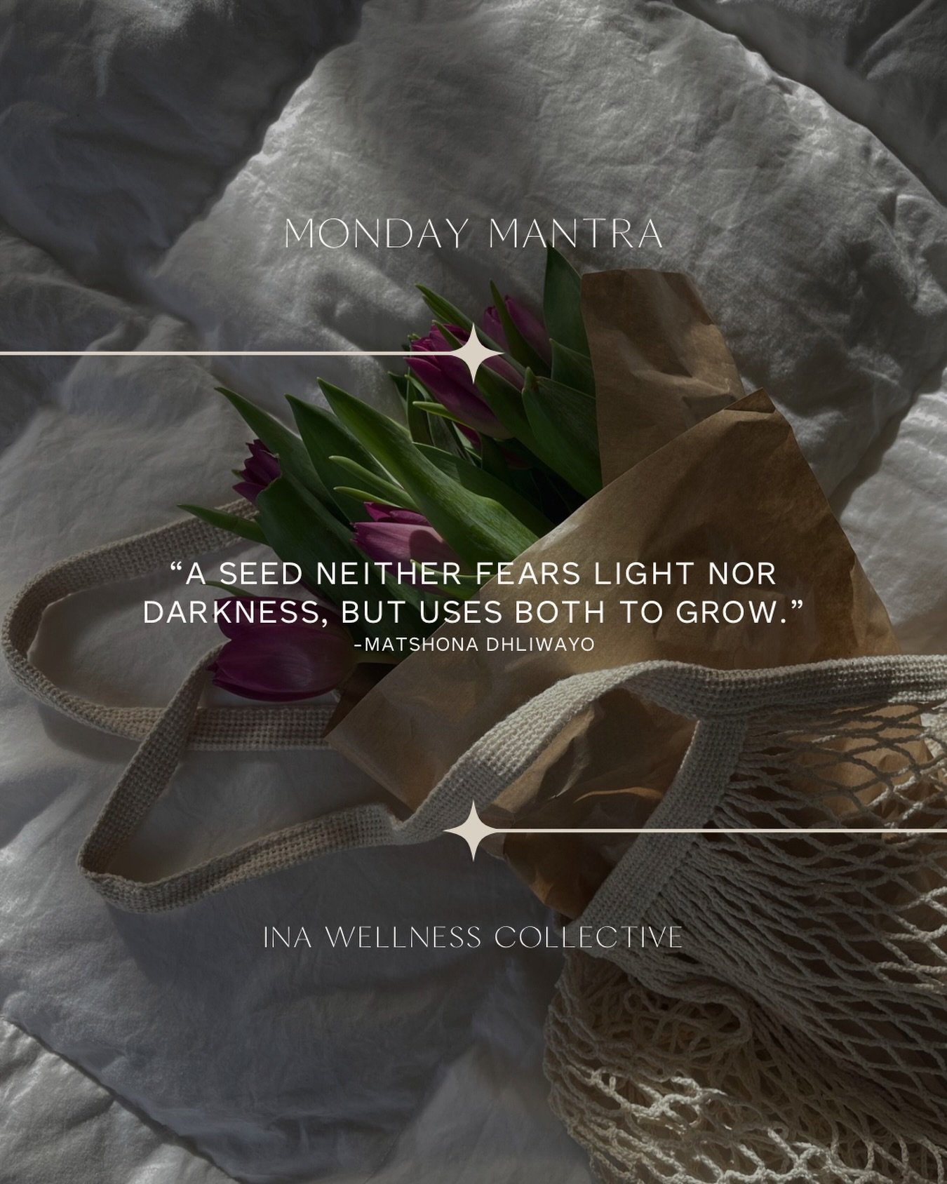 Monday 🌷 Mantra 

#mondaymood #quotestagram #growthquotes #bloomquotes #selfdevelopmentjourney