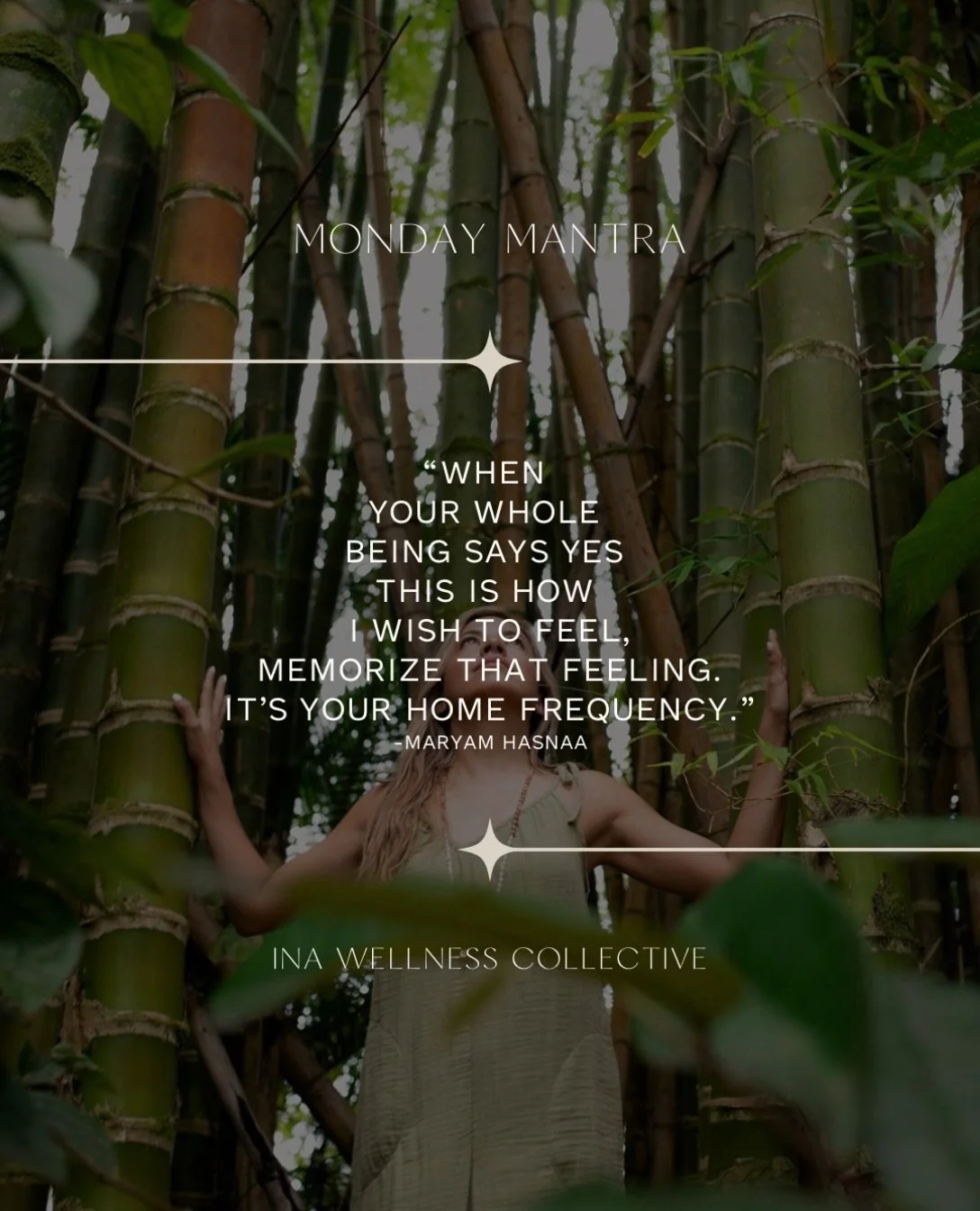 Monday 🌱 Mantra

#maryamhasnaaquotes #mondaymantra #quotesofinstagram #healingquotes #findyourfrequency