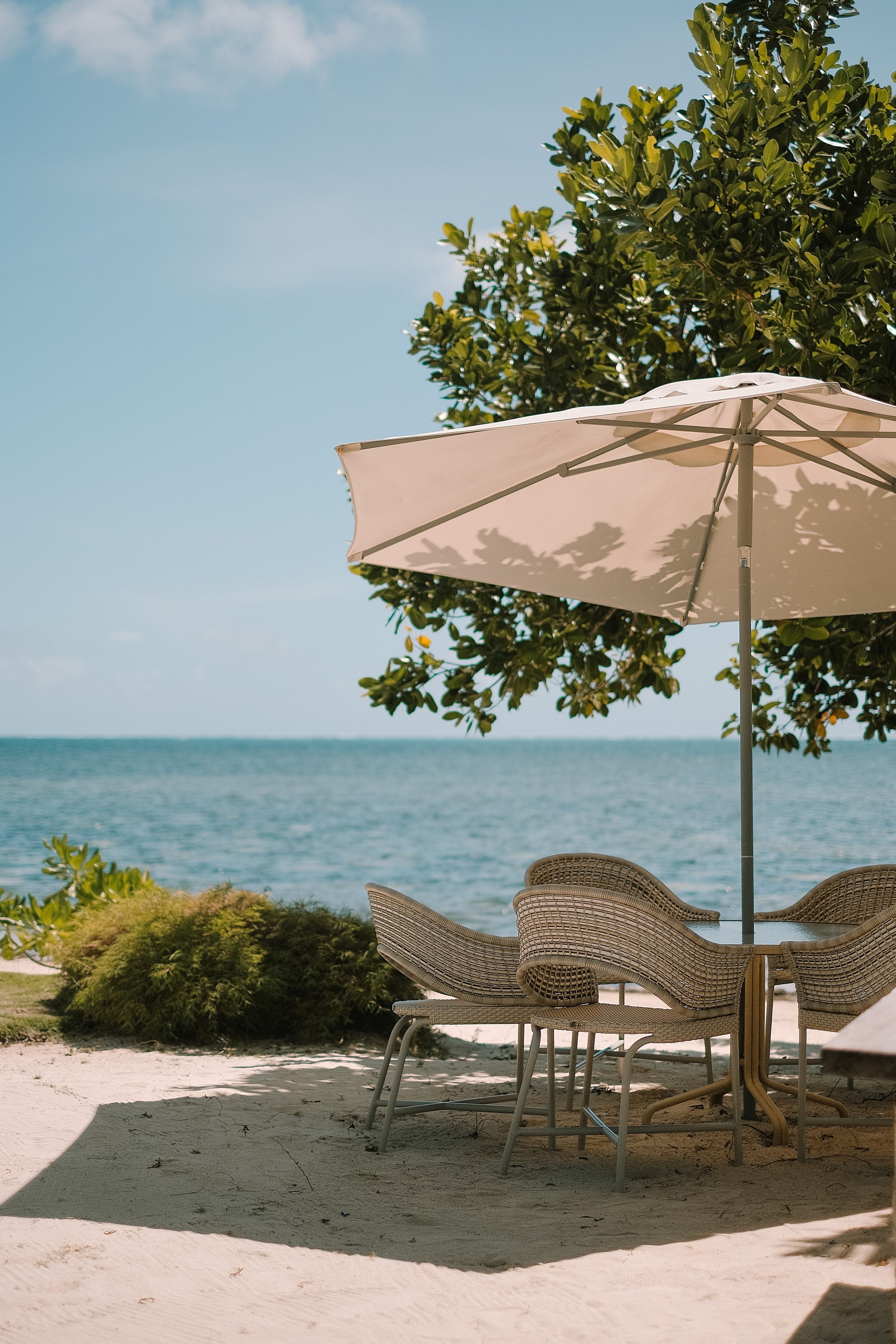 Inara - March 2024-22.jpg