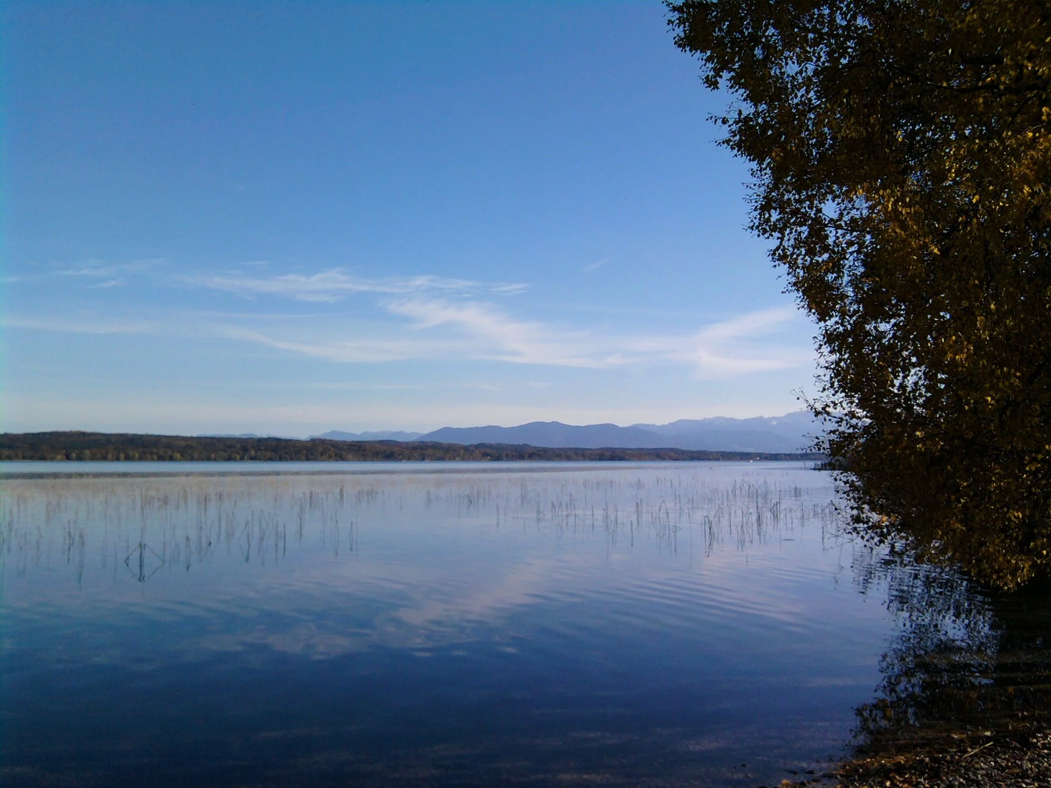 Blick auf einen ruhigen See mit Bergen im Hintergrund und einer großen Baumreihe an der rechten Seite, bei klarem Himmel und Sonnenlicht.