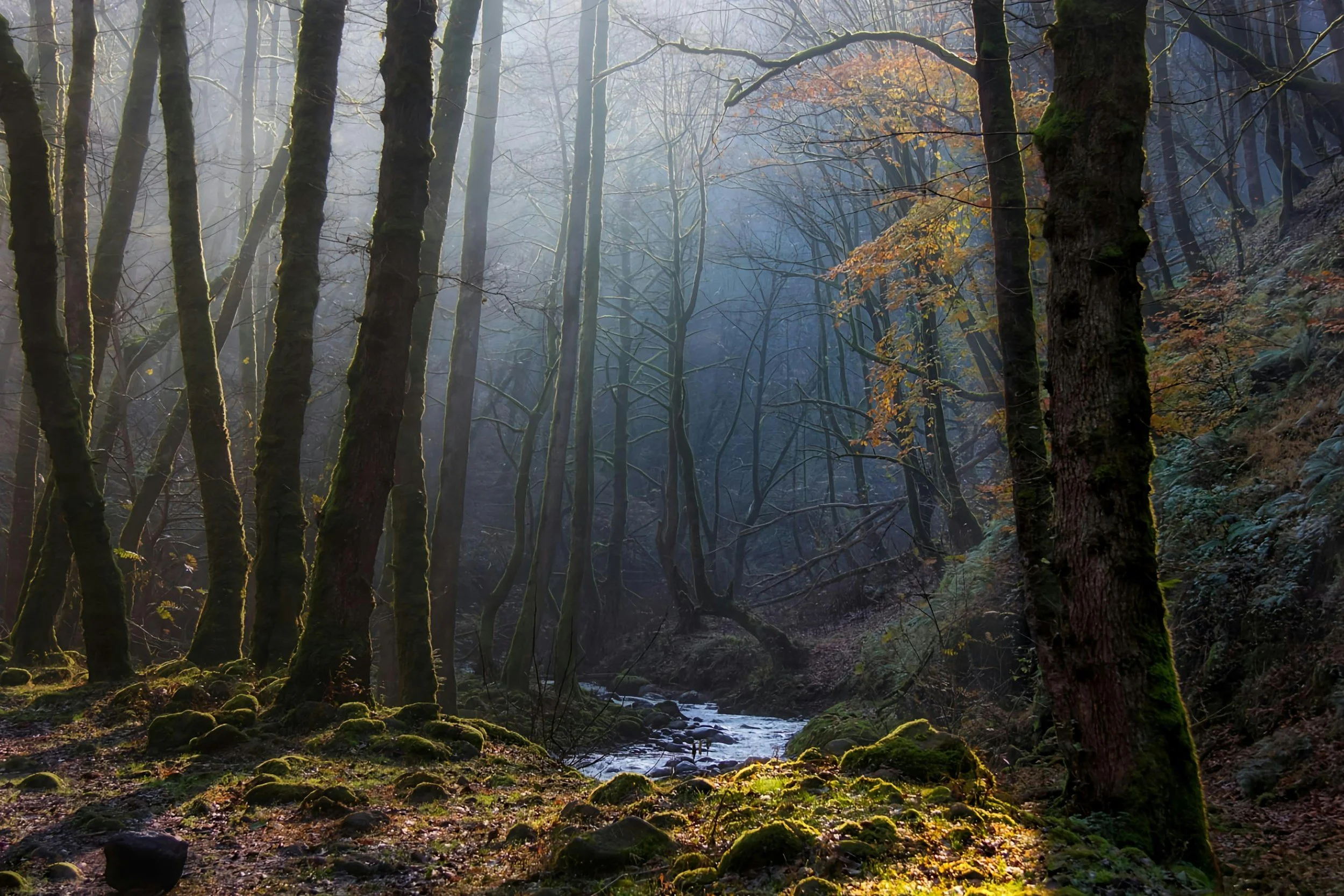 Managing stress with hypnotherapy — practical techniques to calm your mind and body