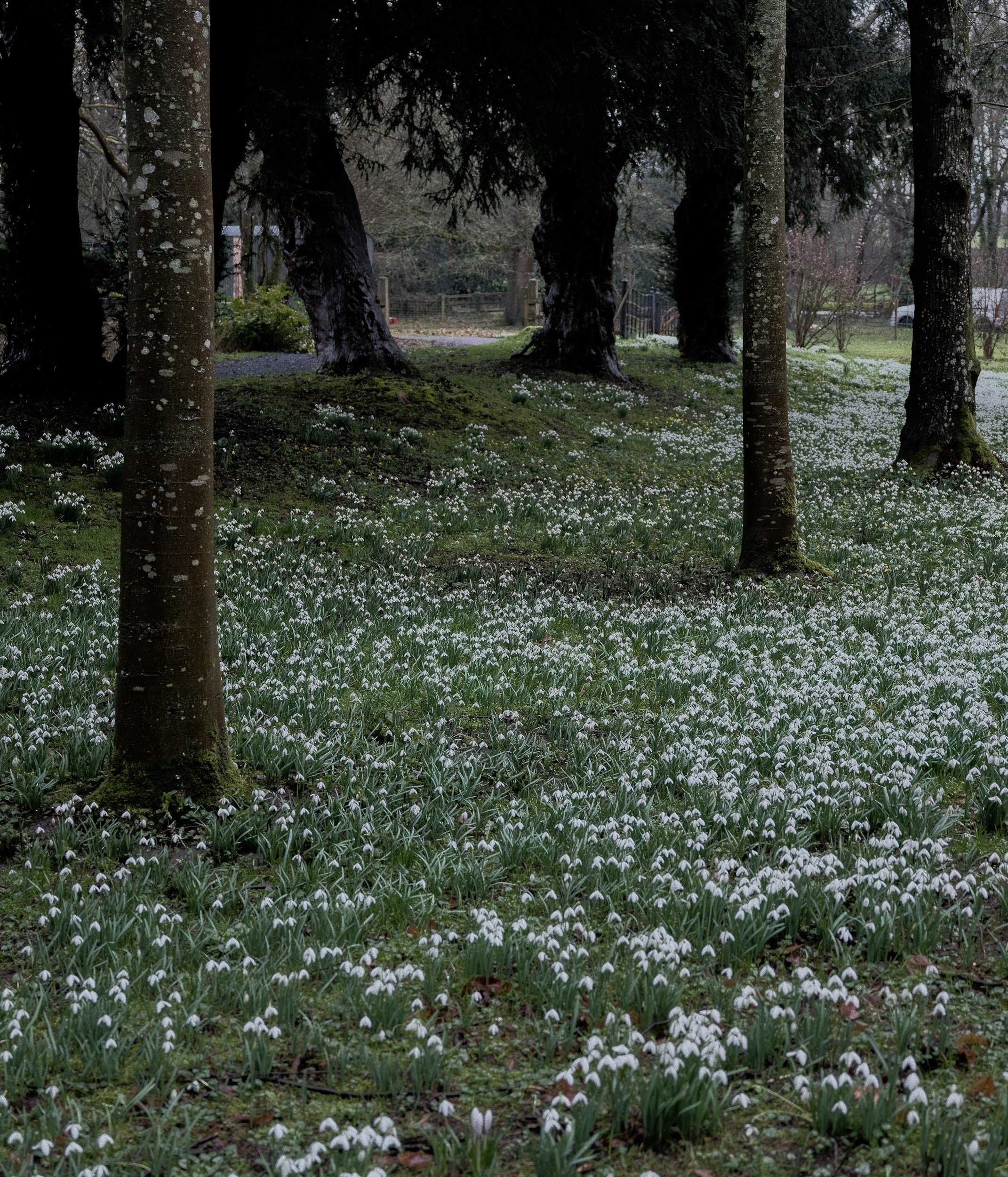 Overcoming imposter syndrome and the inner critic with hypnotherapy — transform self-doubt into confidence