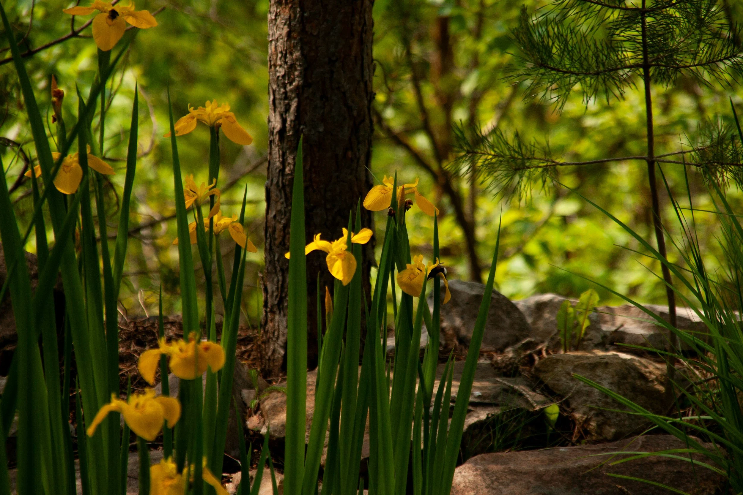 Living with anxiety — and discovering calm, clarity and control