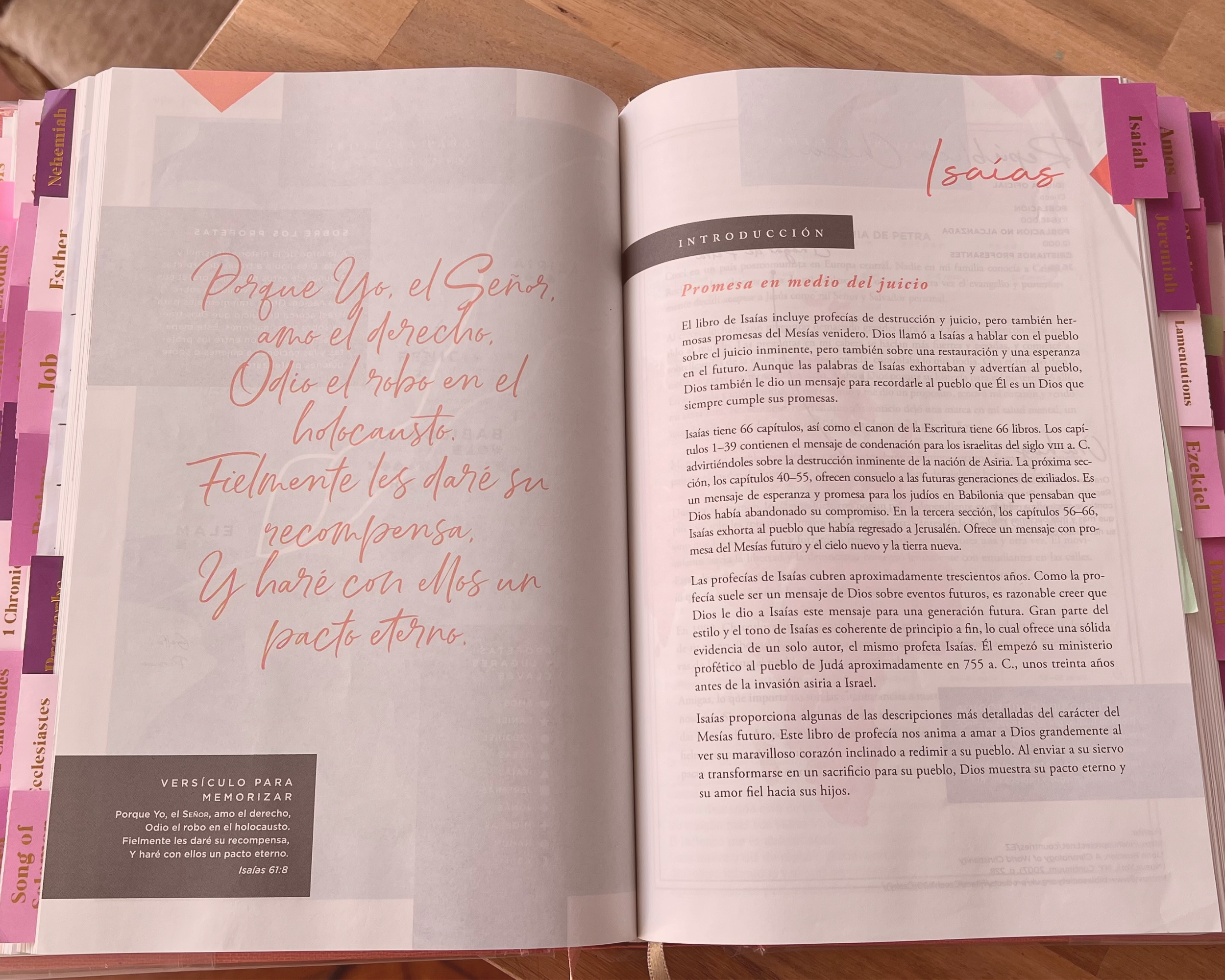 🕎✝️ Cómo elegir tu primera Biblia (o tu siguiente)