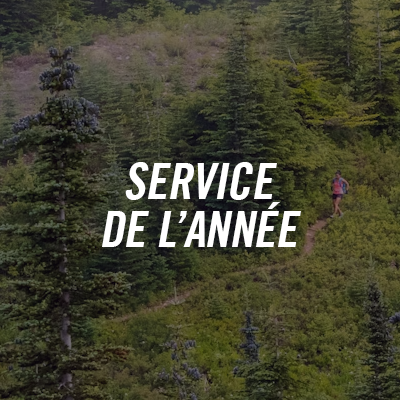 A forest with a steep path and a hiker, with the text 'SERVICE OF THE YEAR' superimposed.