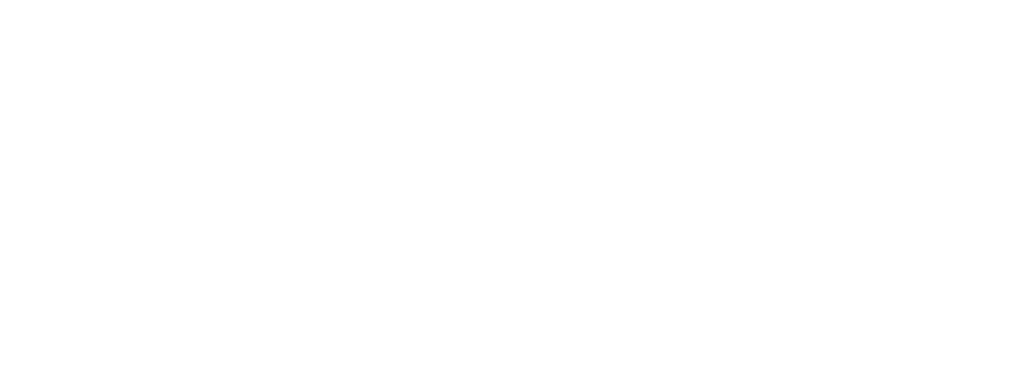 WISE company logo in black and white with bold typography