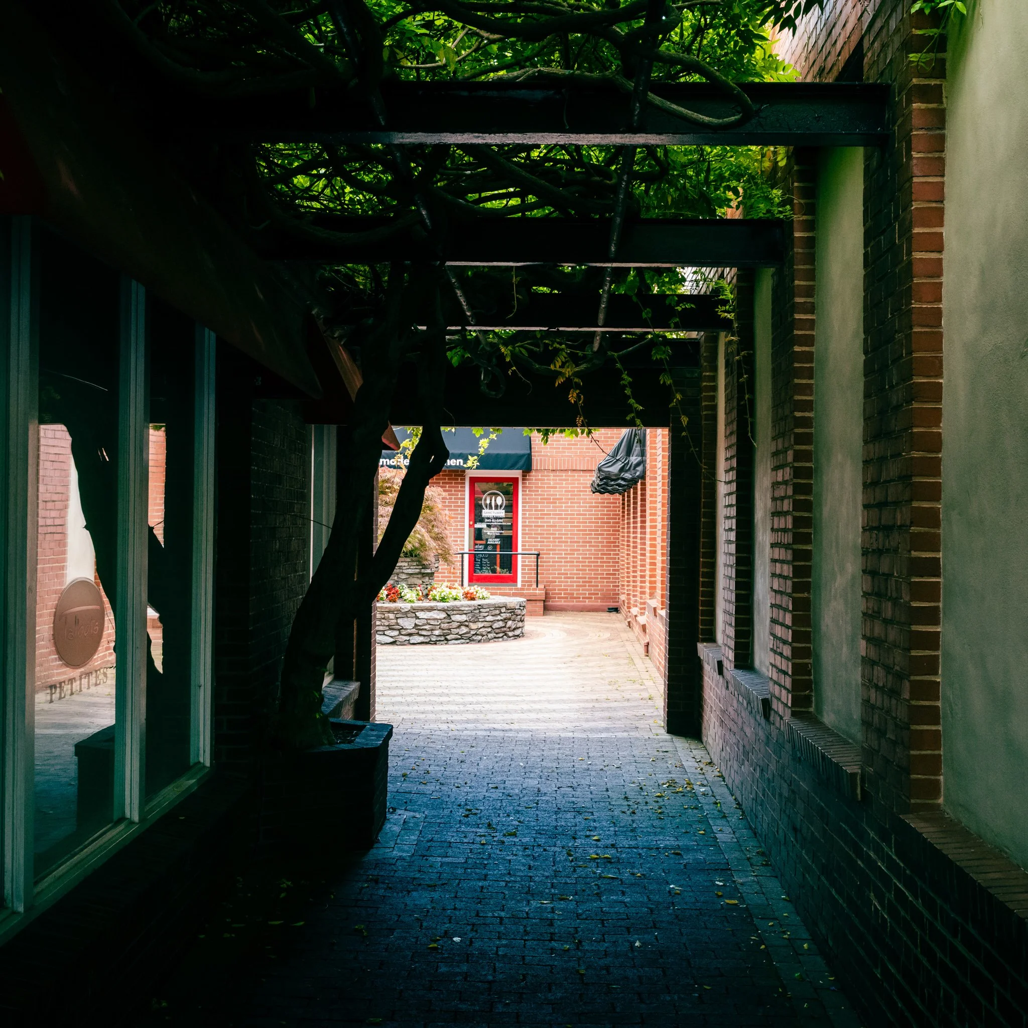 L1002231.jpg