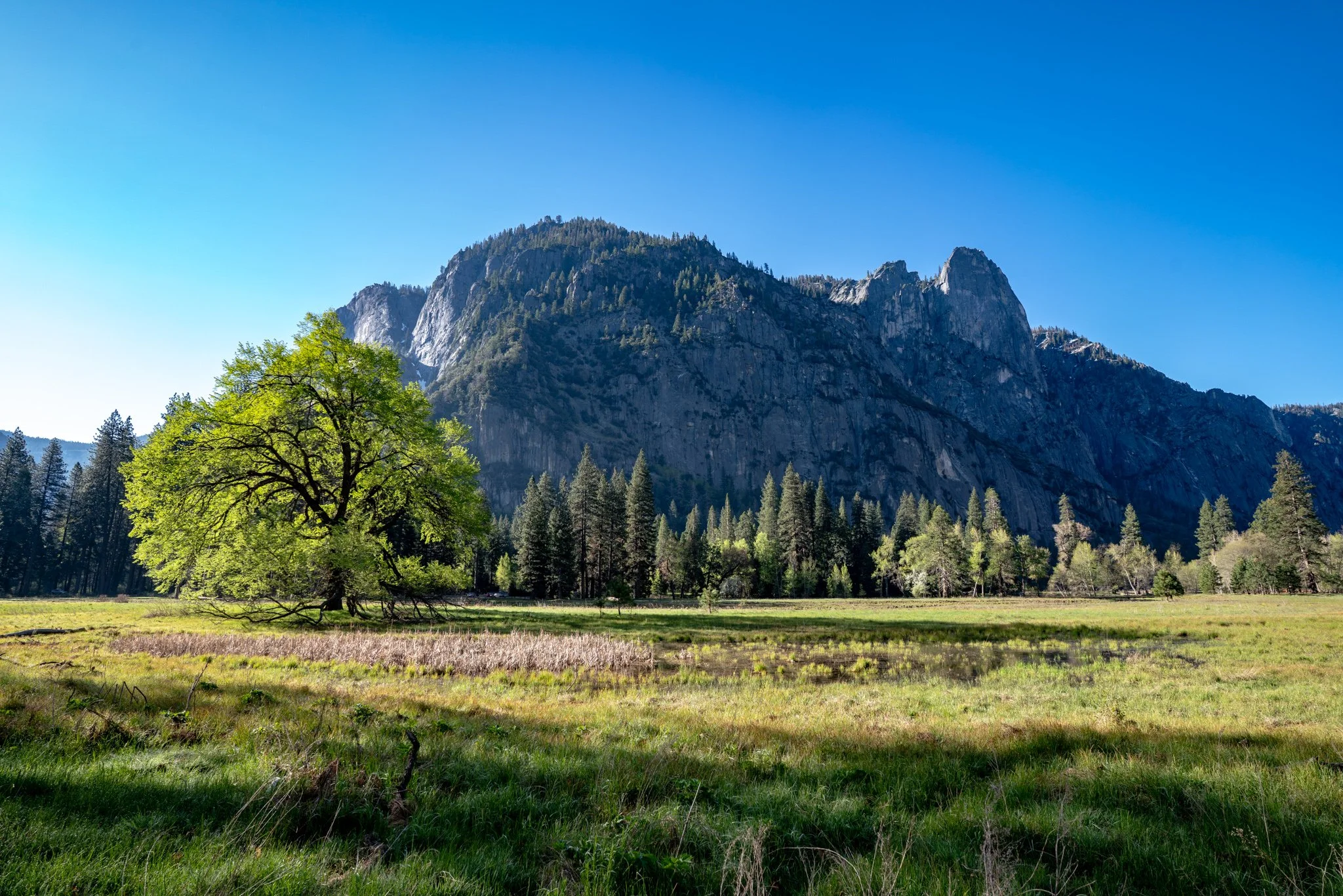 _DSC2061.jpg